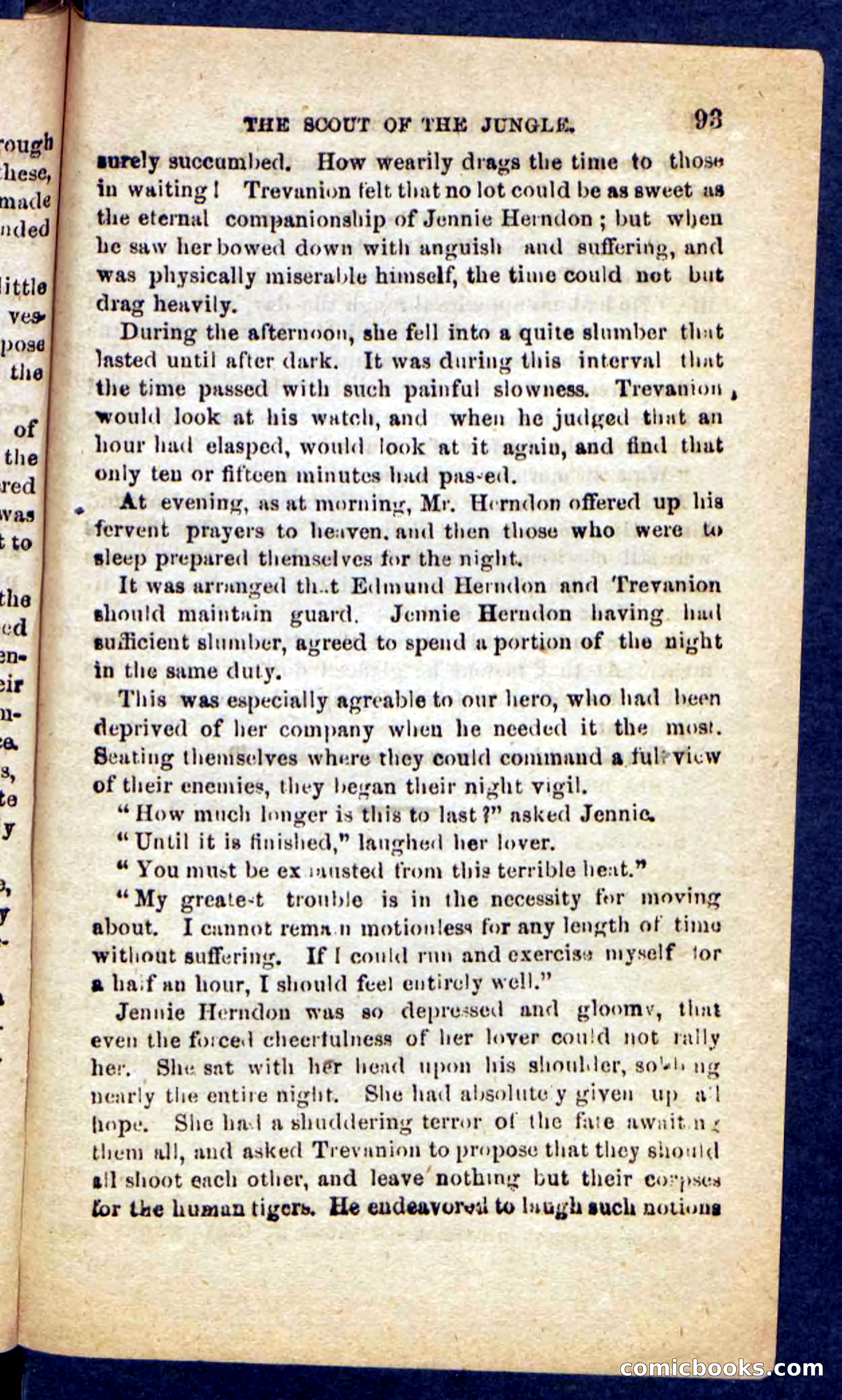 The Jungle Scout — page 89 of 100