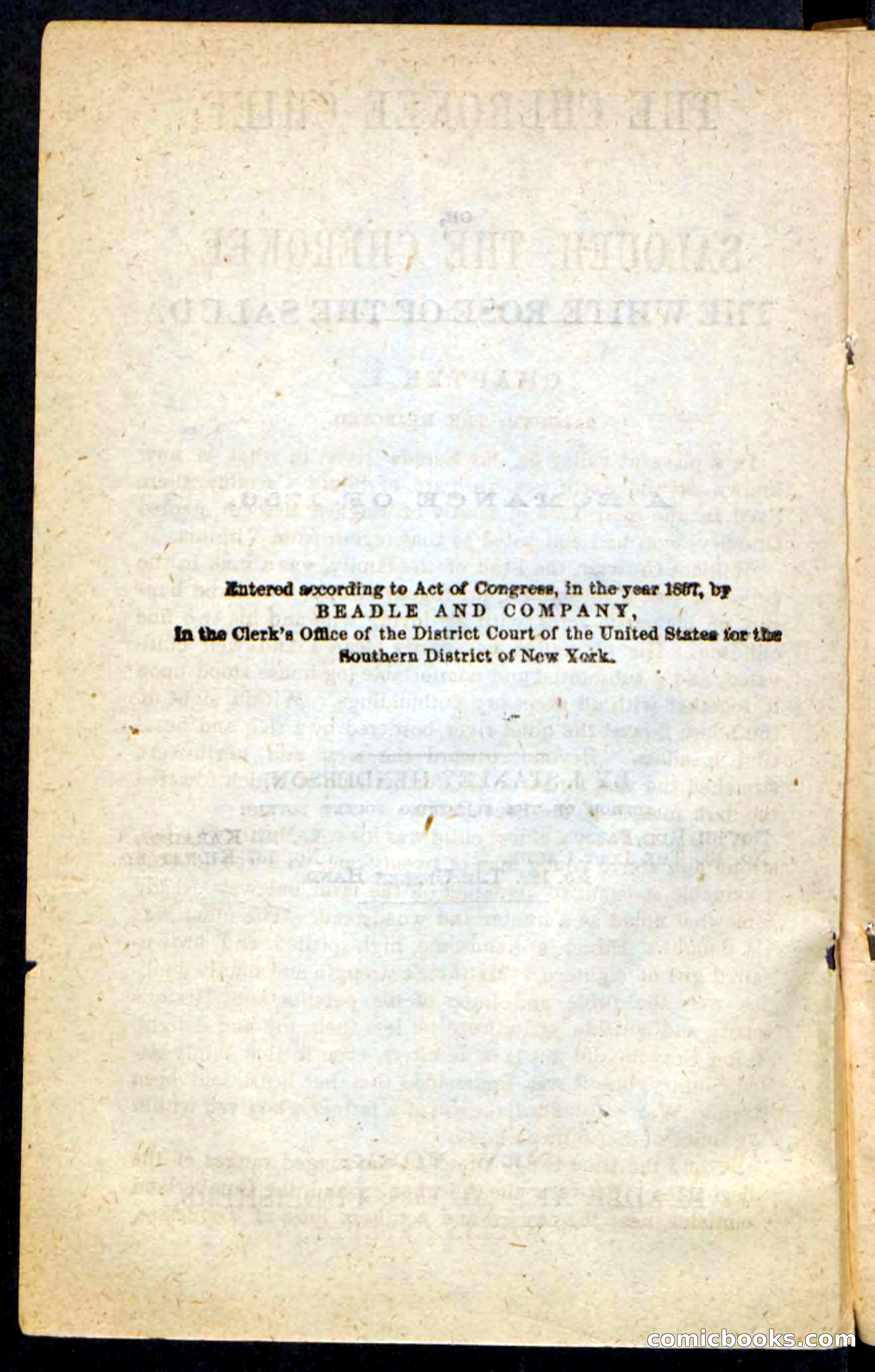 The Cherokee Chief — page 4 of 100