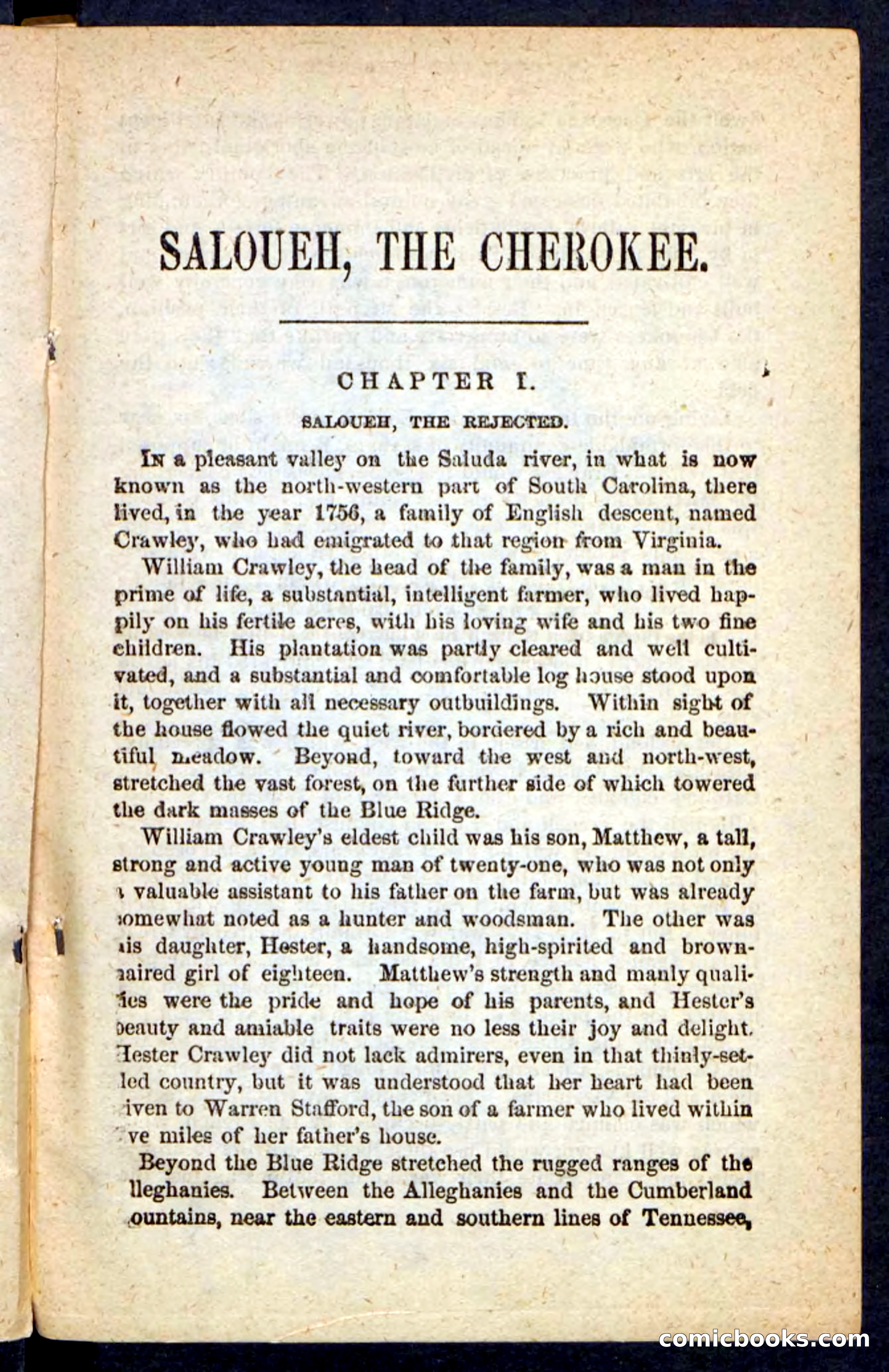 The Cherokee Chief — page 5 of 100