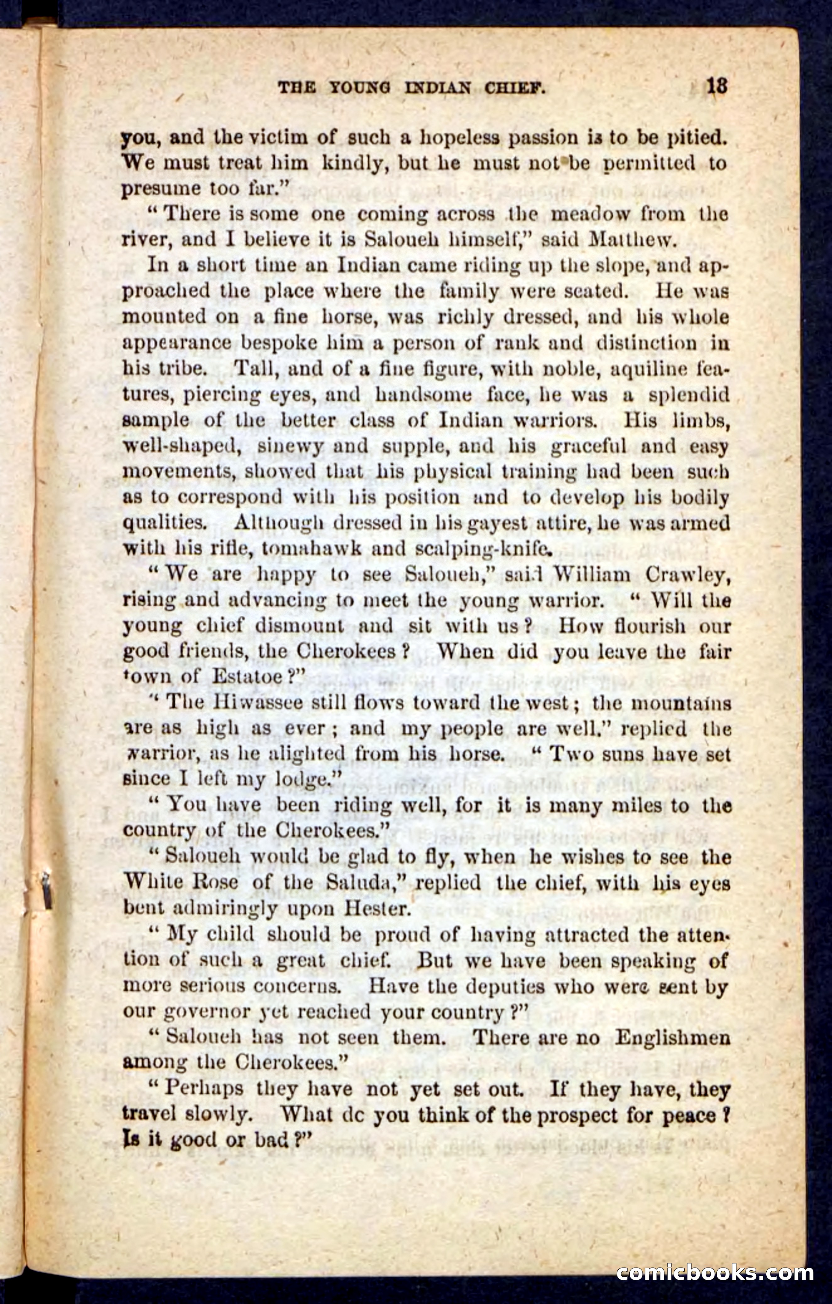 The Cherokee Chief — page 9 of 100
