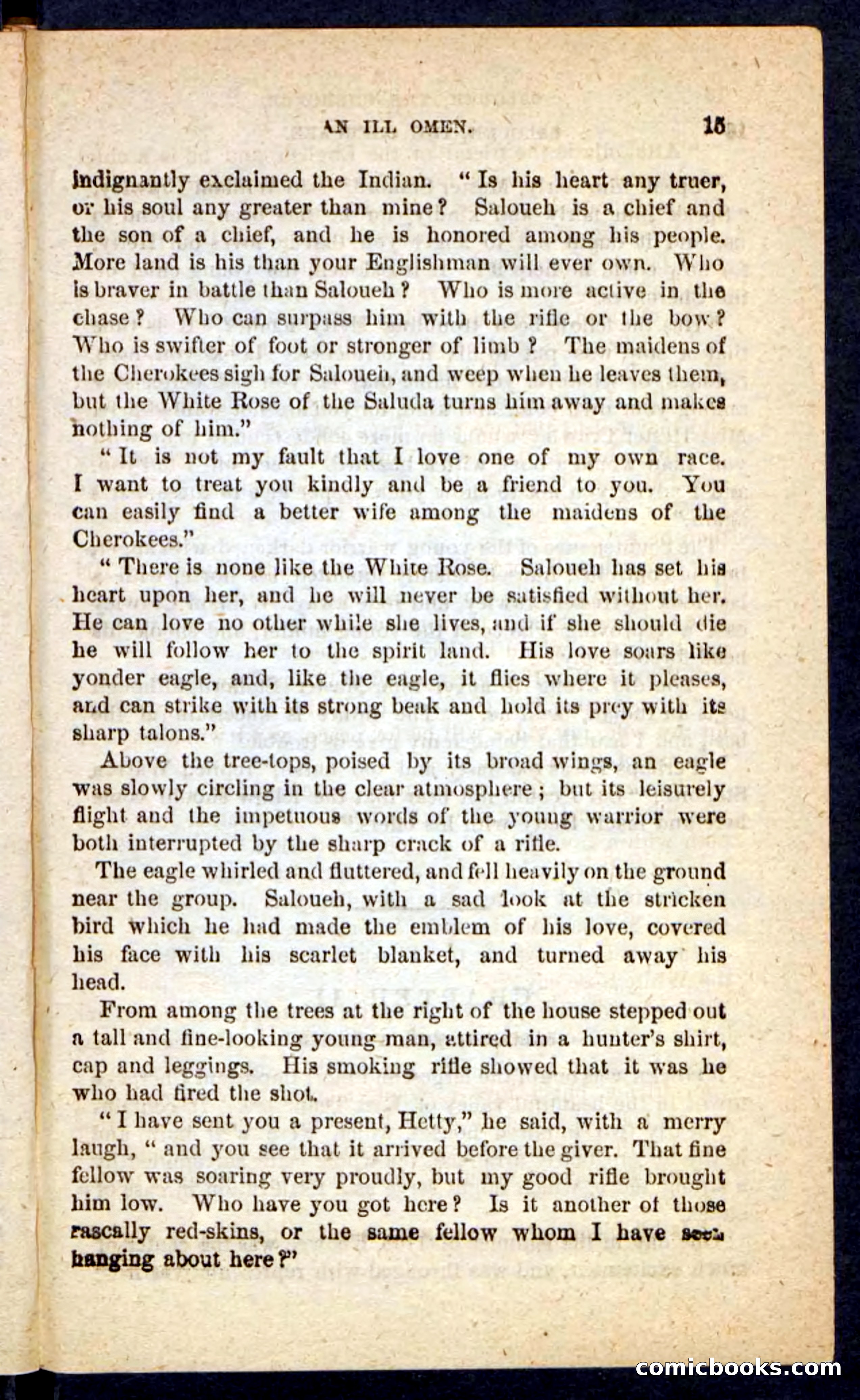 The Cherokee Chief — page 11 of 100