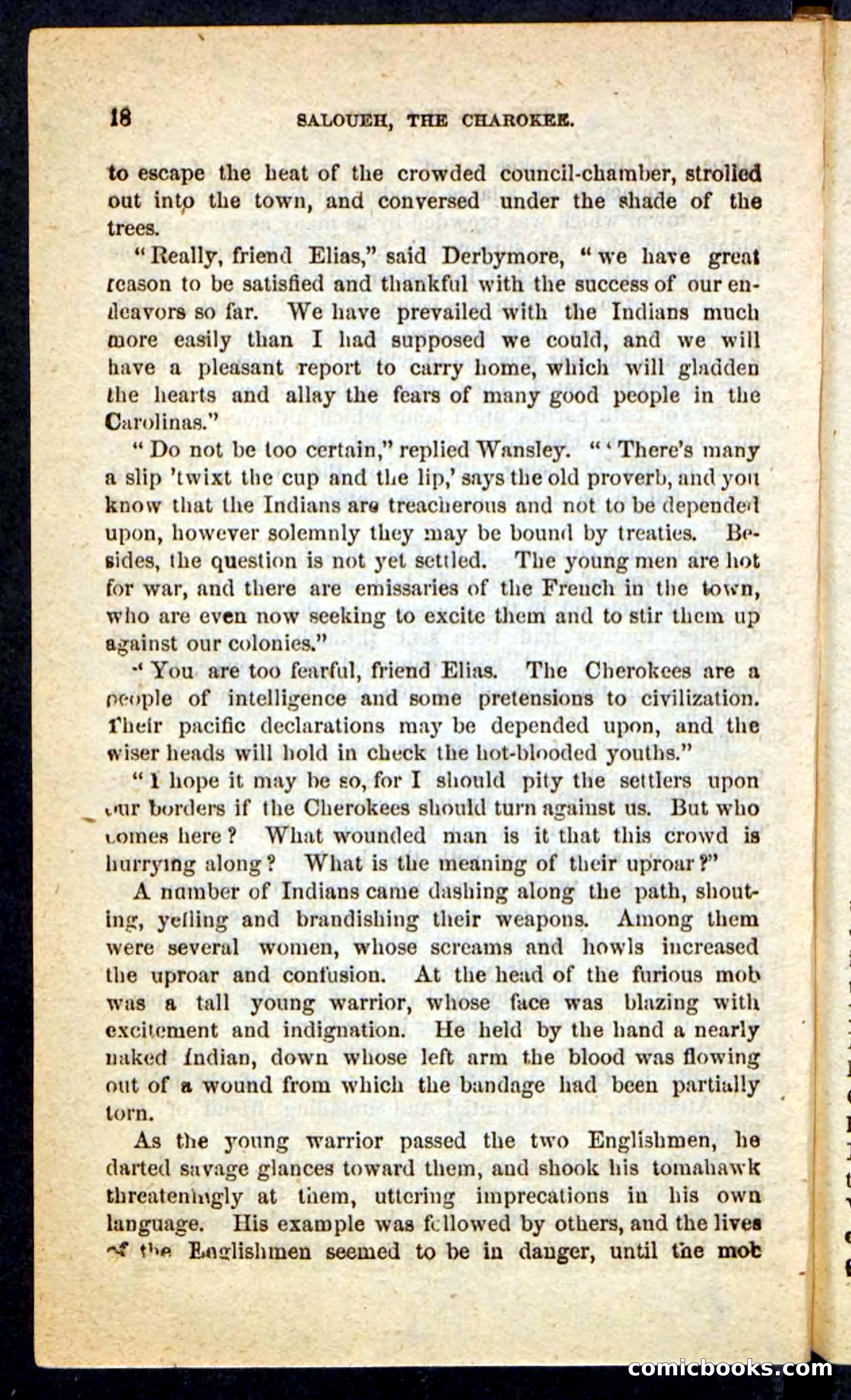 The Cherokee Chief — page 14 of 100