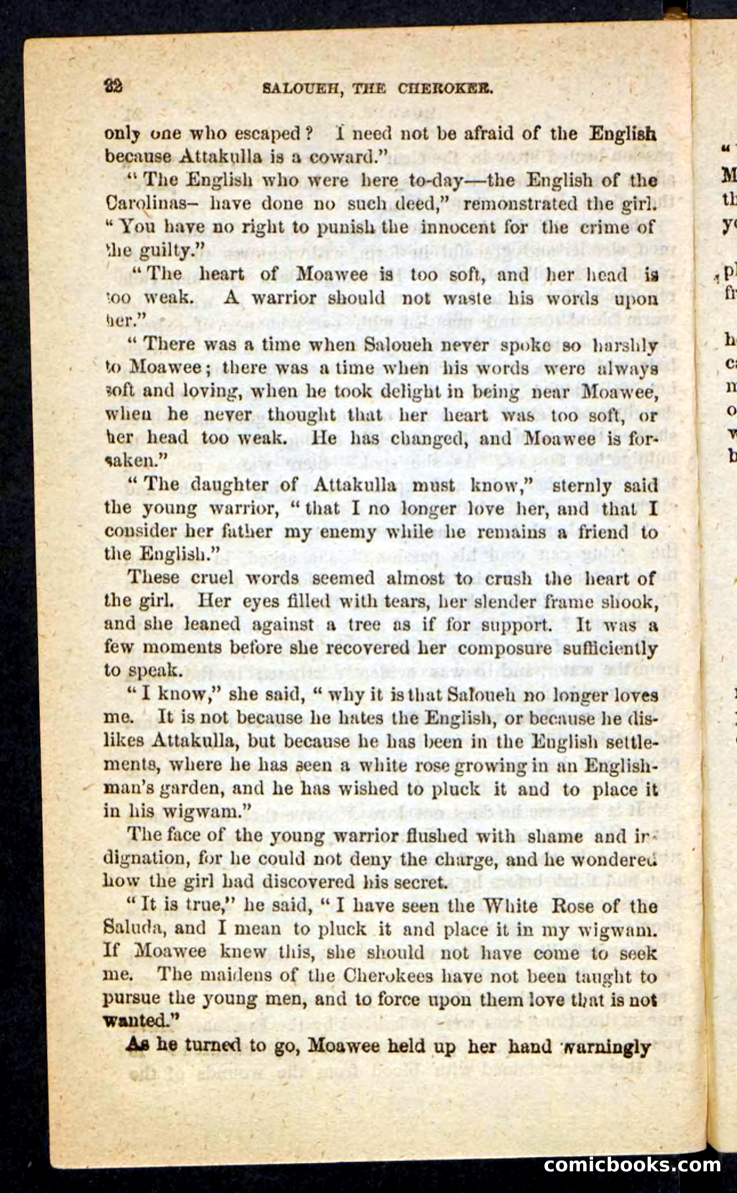 The Cherokee Chief — page 18 of 100