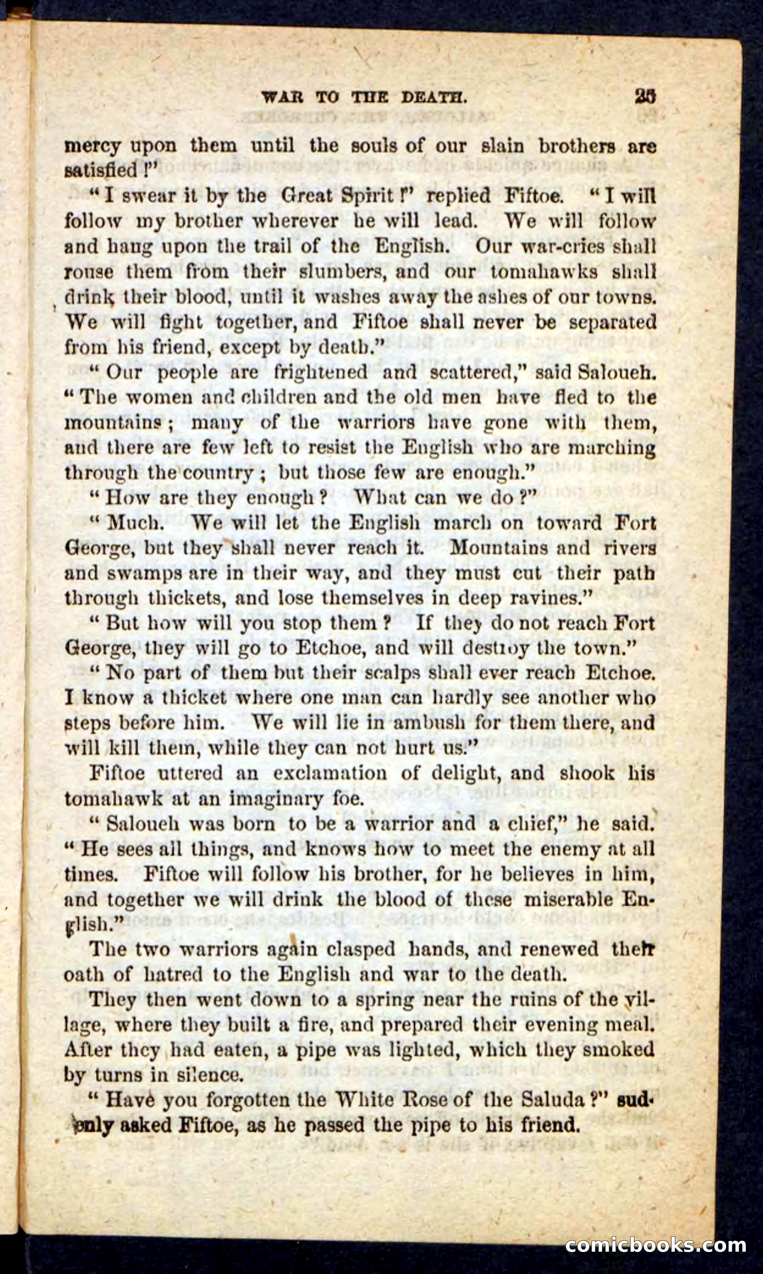 The Cherokee Chief — page 21 of 100