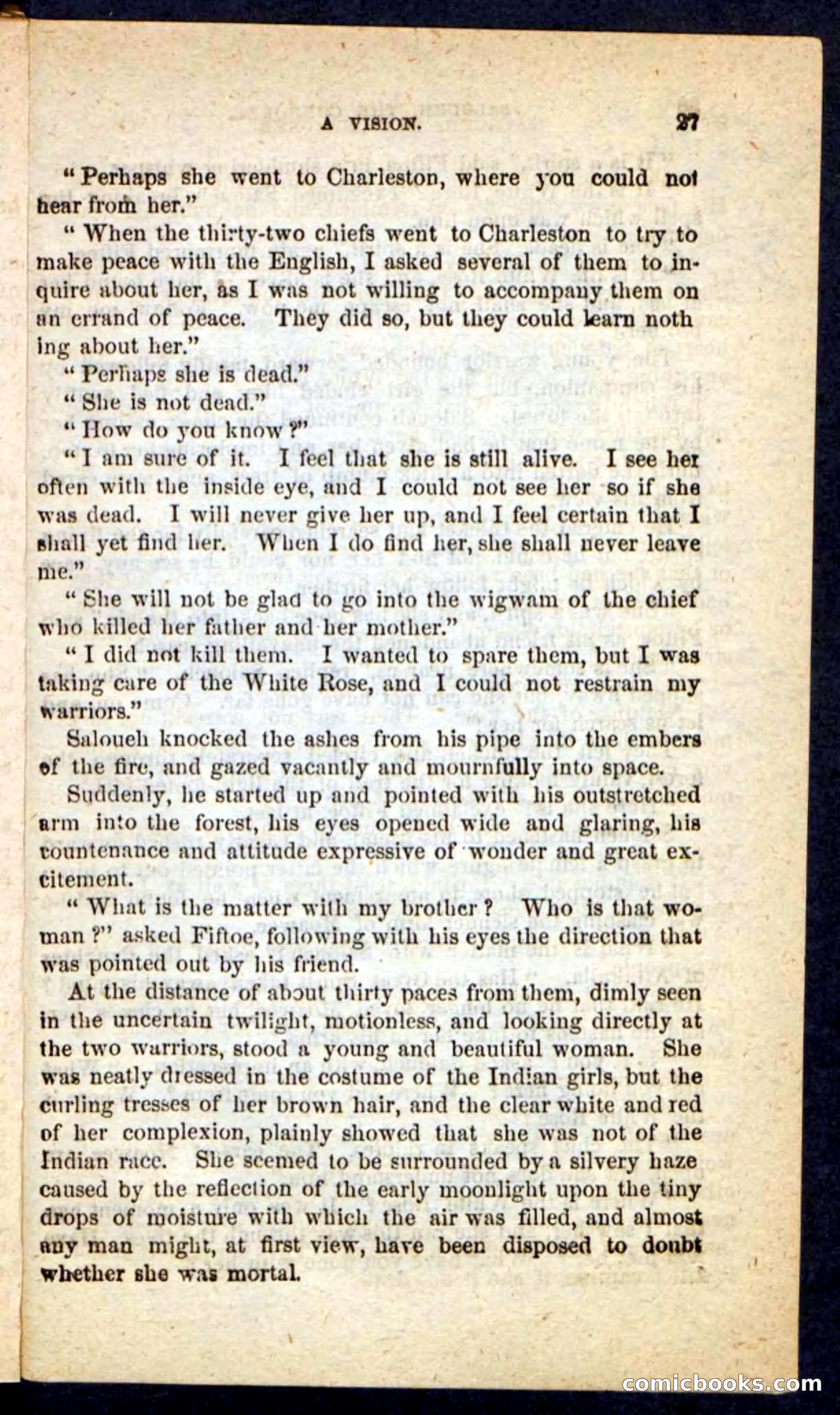 The Cherokee Chief — page 23 of 100