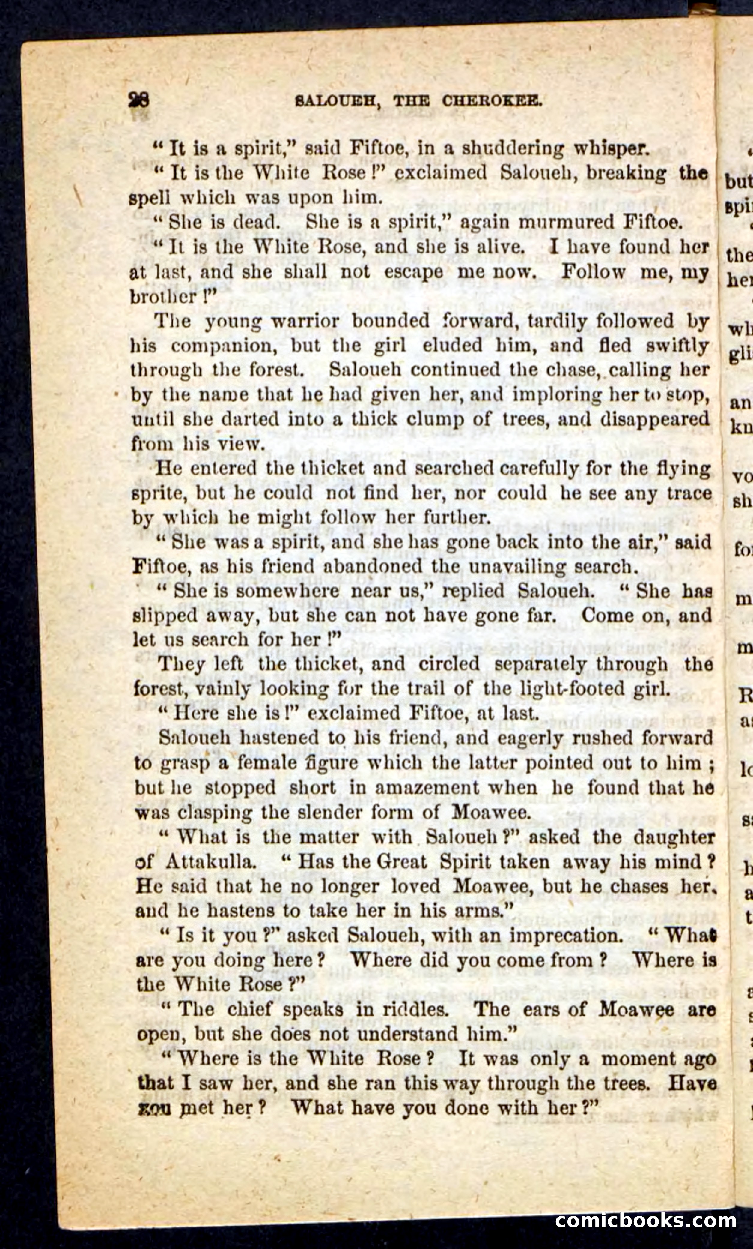 The Cherokee Chief — page 24 of 100
