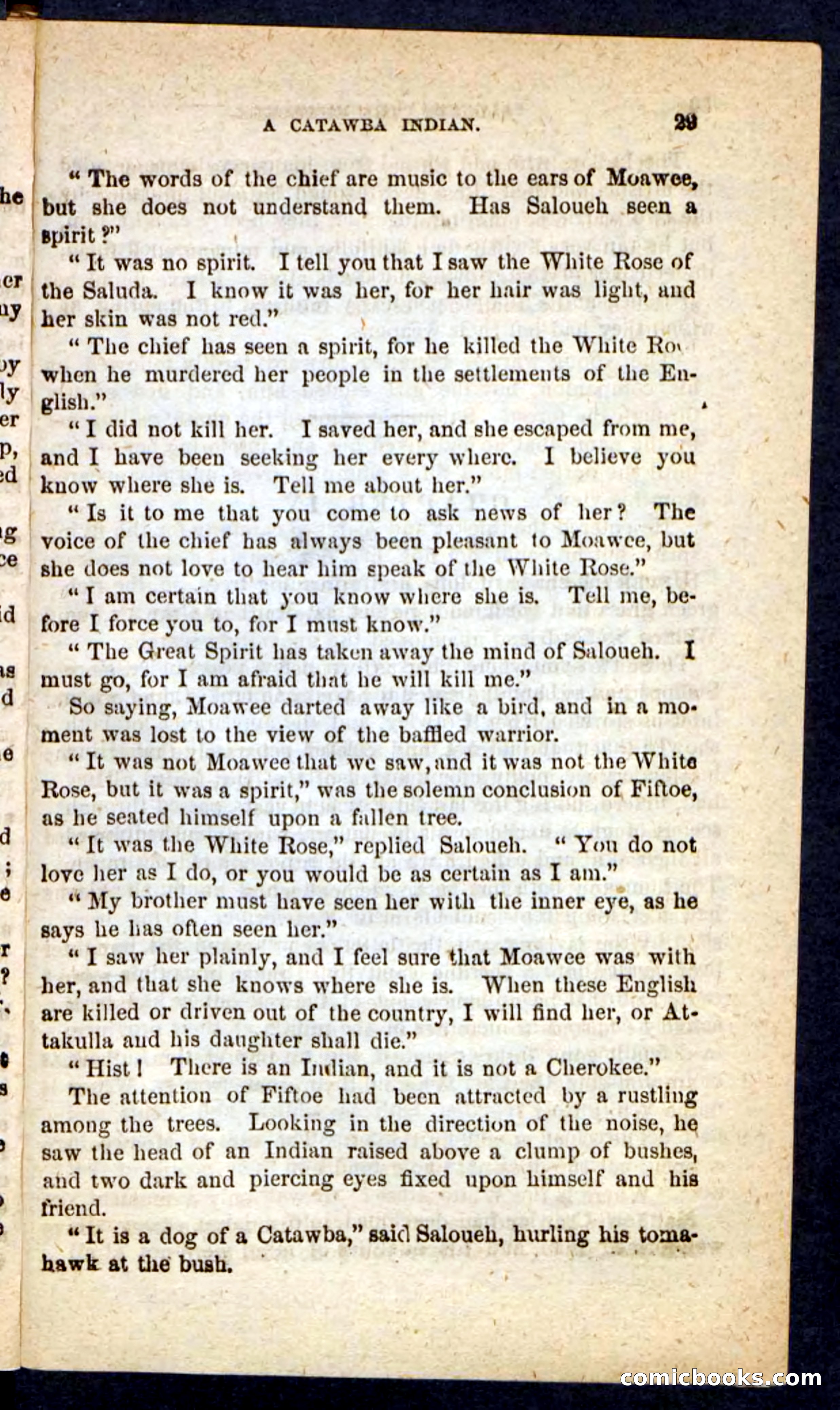 The Cherokee Chief — page 25 of 100