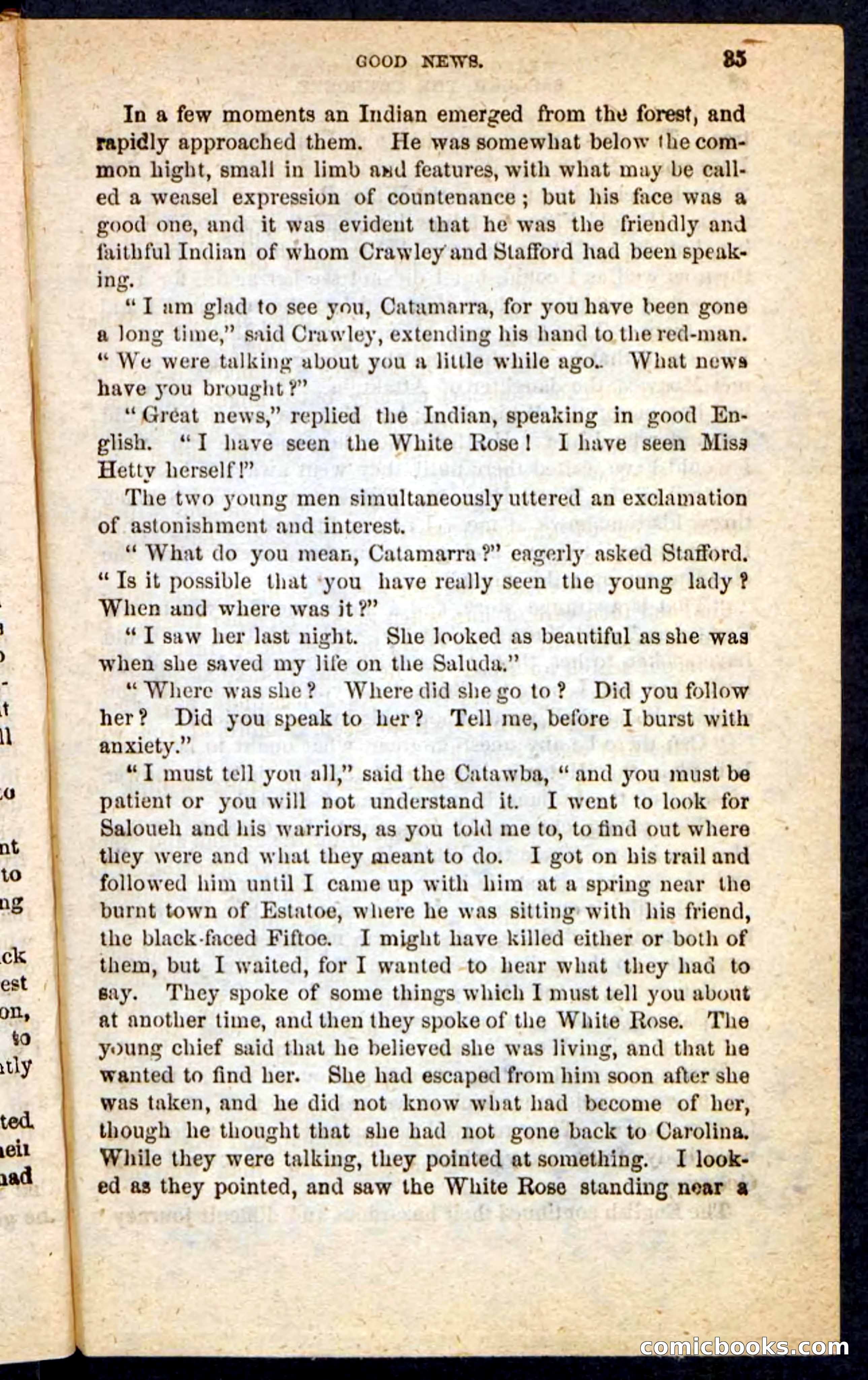 The Cherokee Chief — page 31 of 100