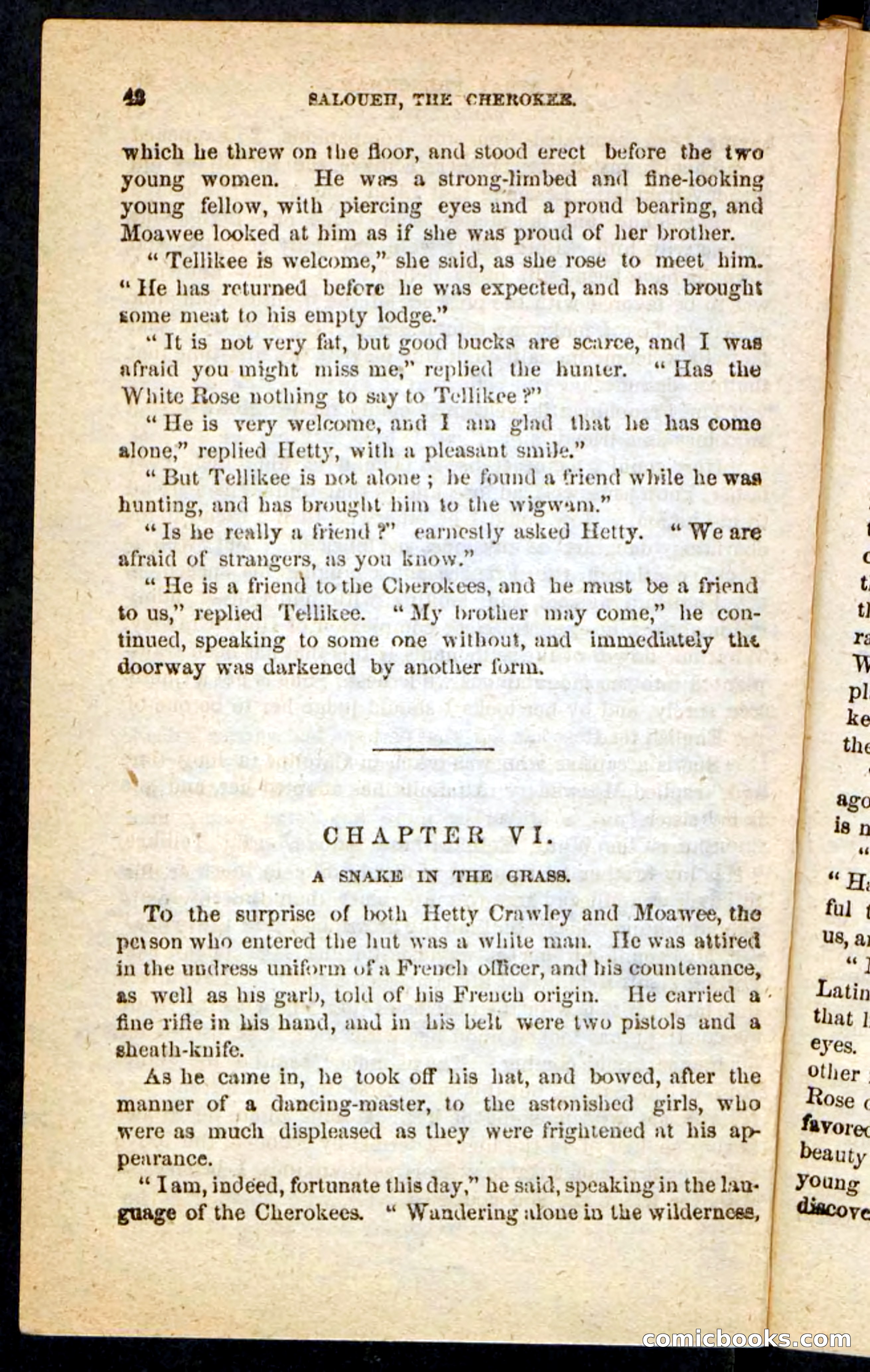 The Cherokee Chief — page 38 of 100