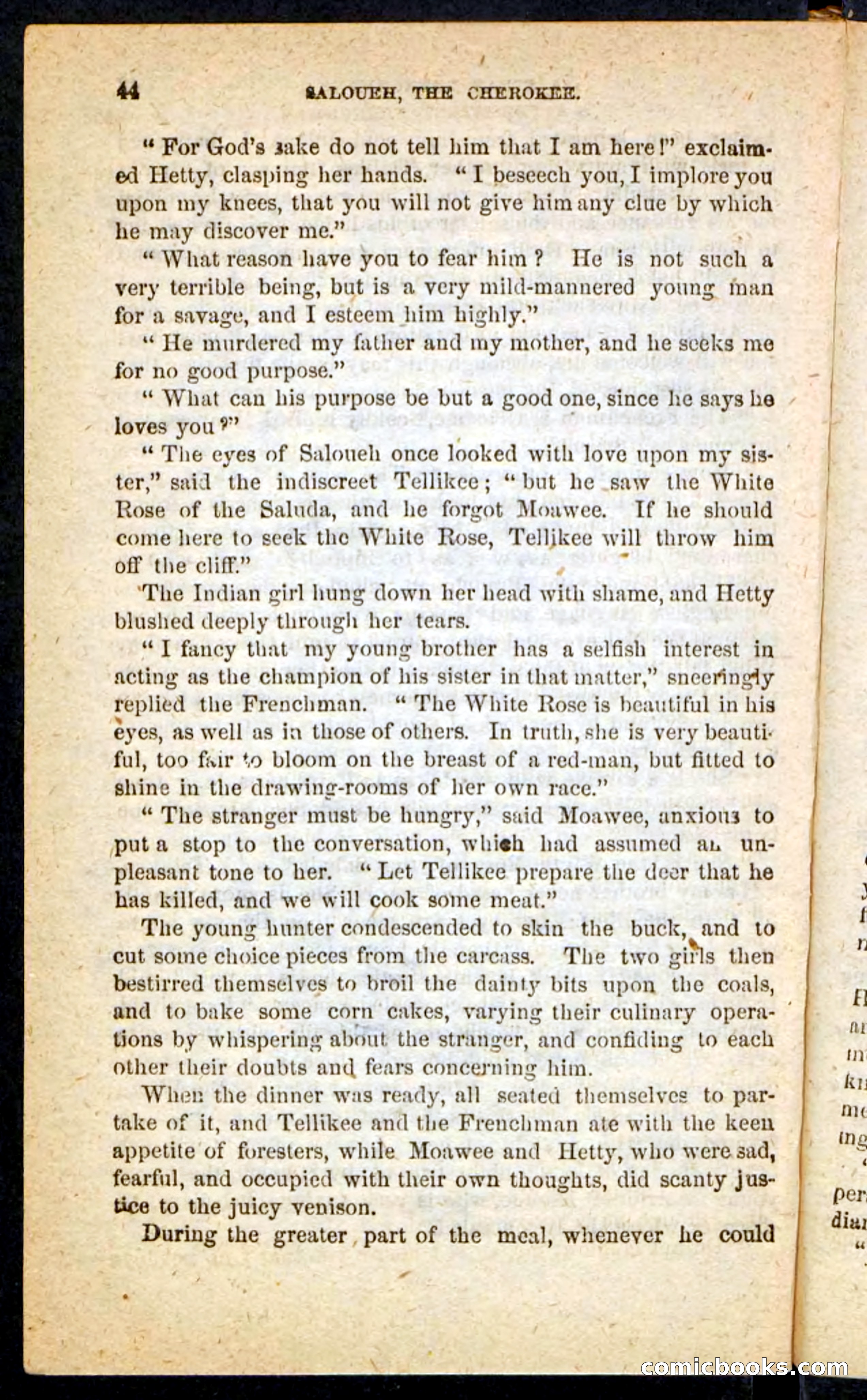 The Cherokee Chief — page 40 of 100