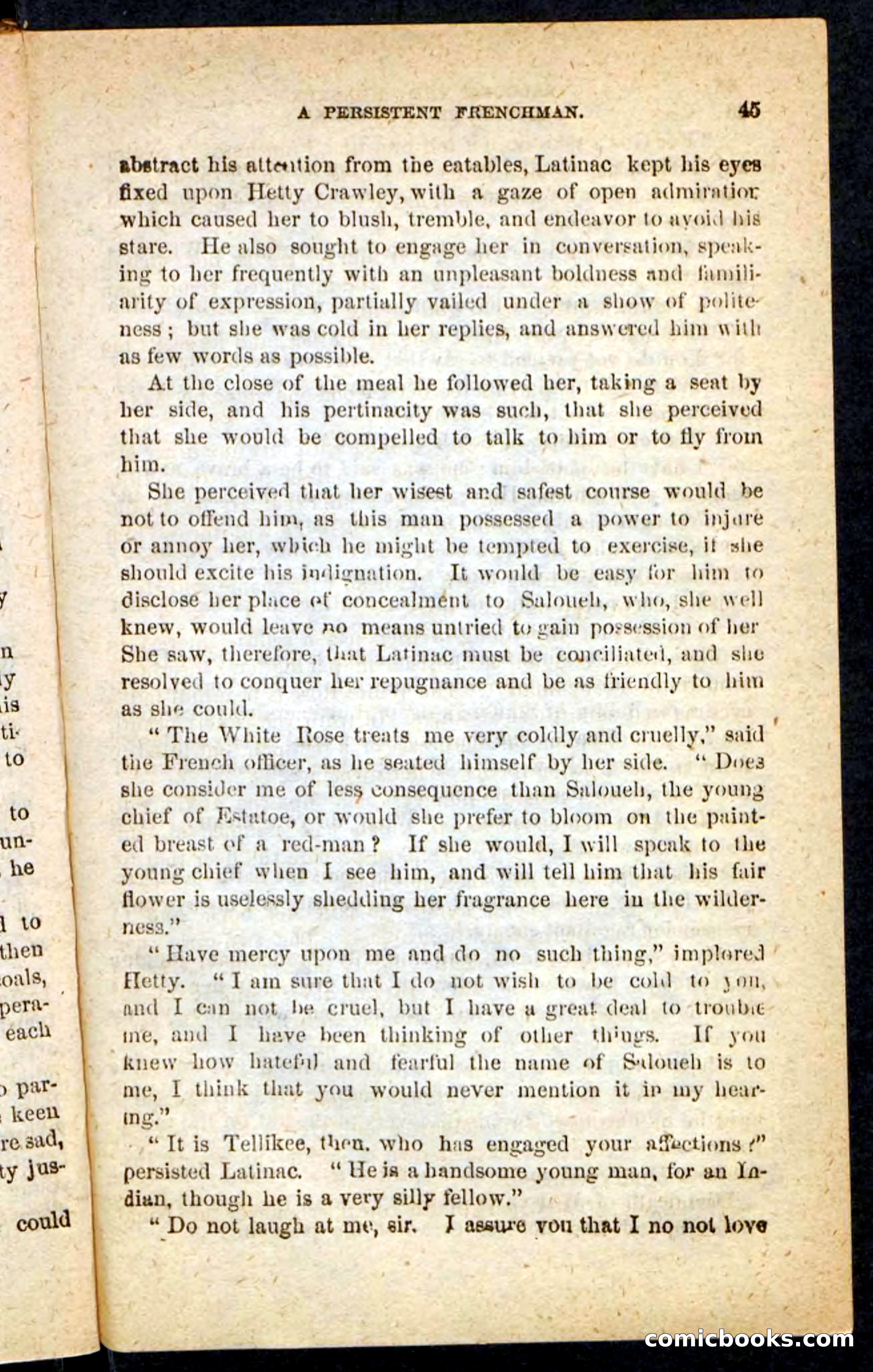 The Cherokee Chief — page 41 of 100