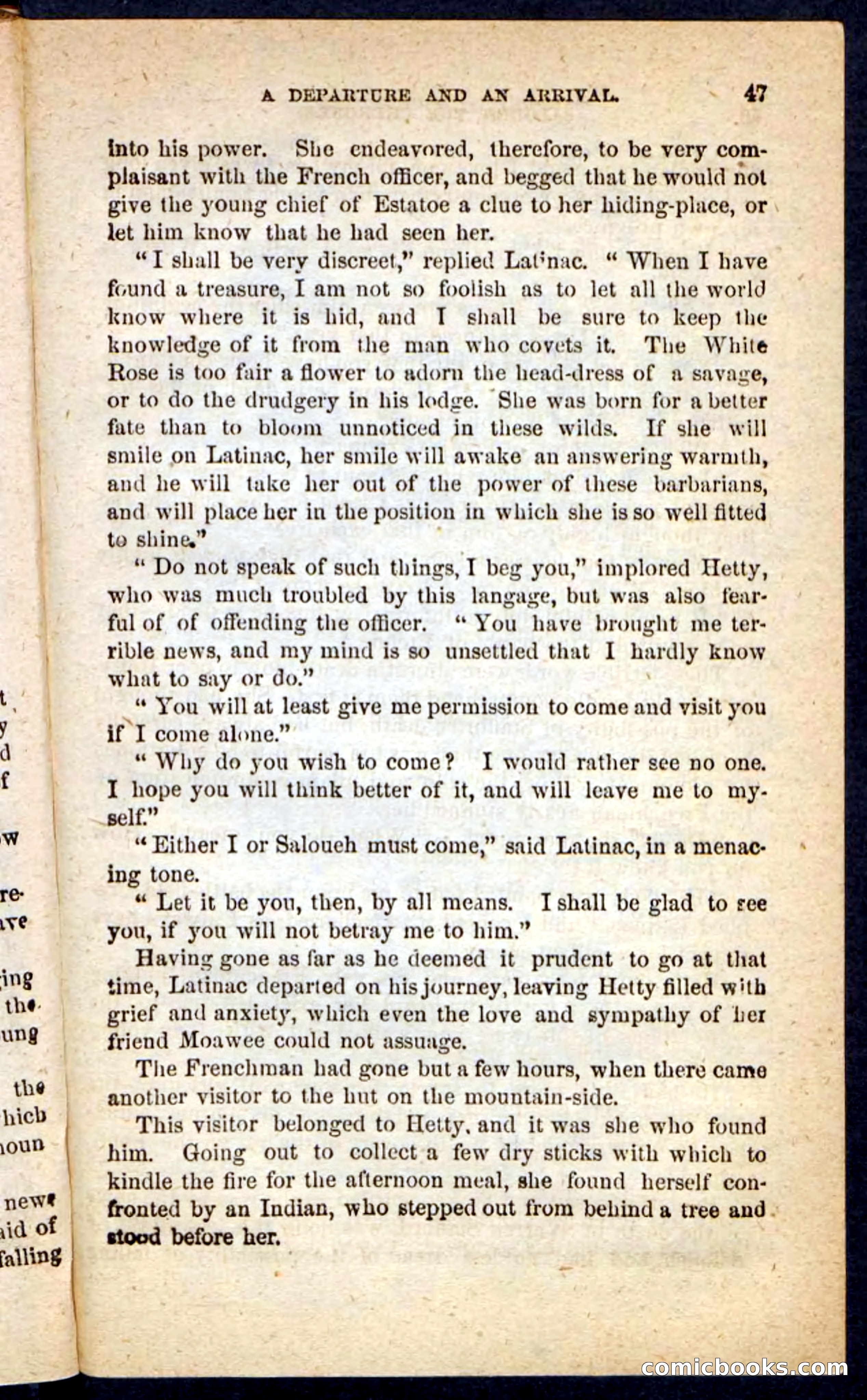 The Cherokee Chief — page 43 of 100