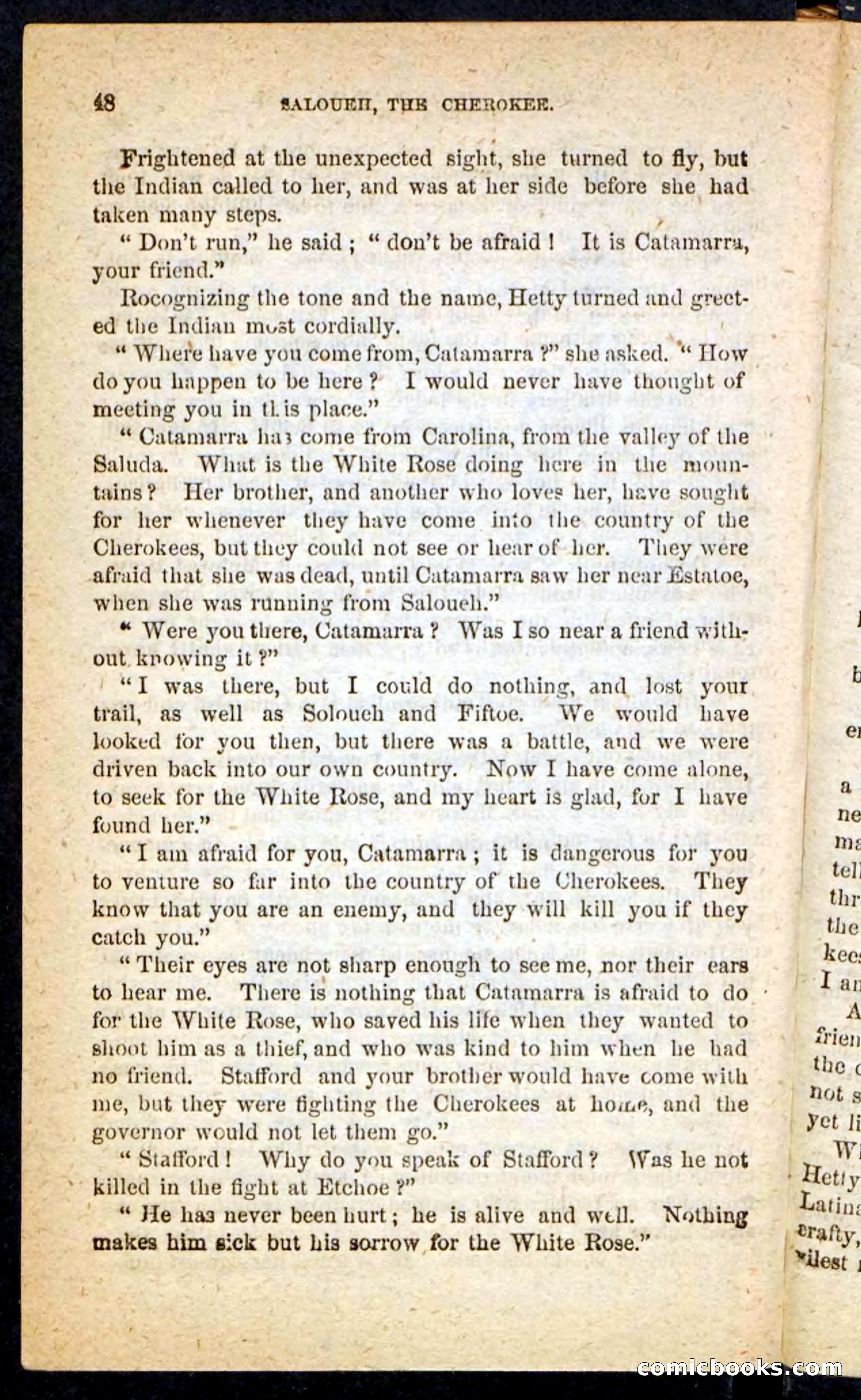 The Cherokee Chief — page 44 of 100