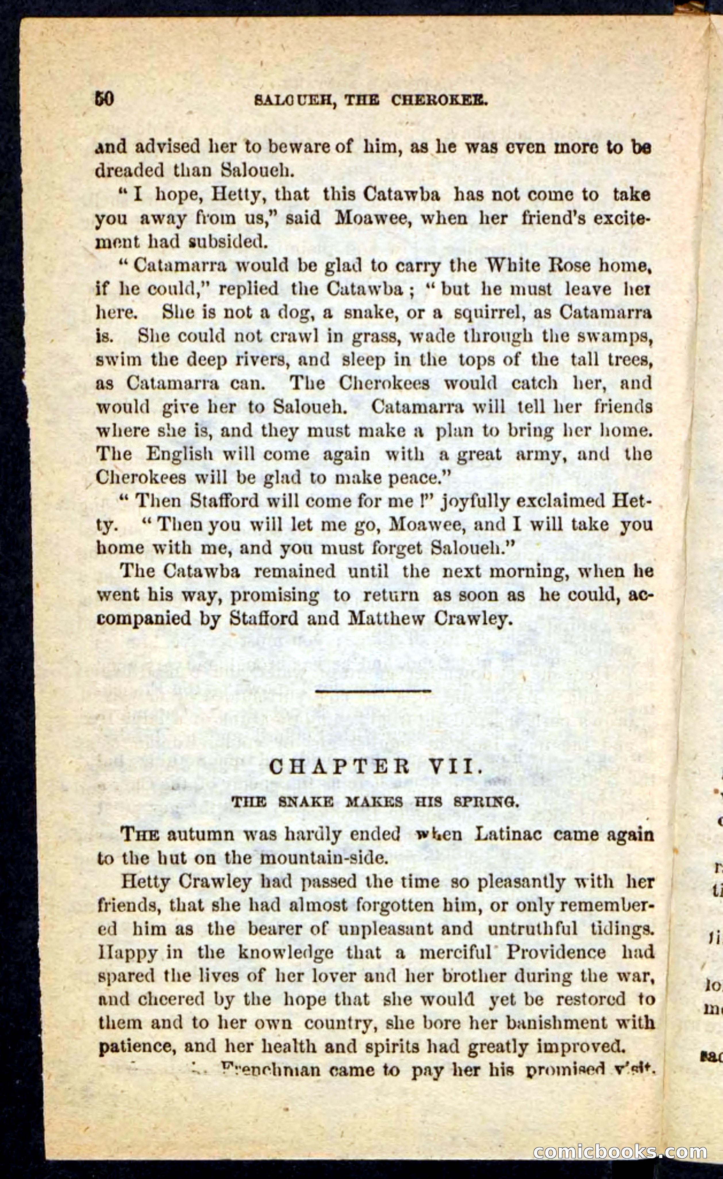 The Cherokee Chief — page 46 of 100