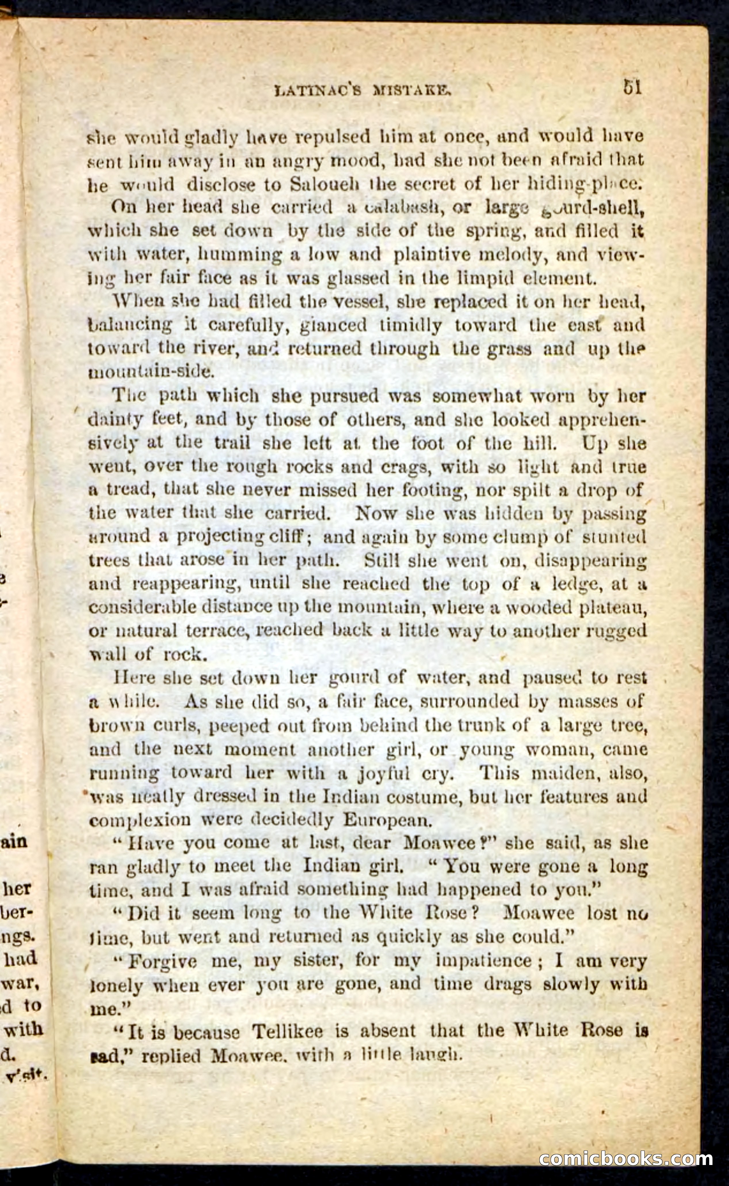 The Cherokee Chief — page 47 of 100