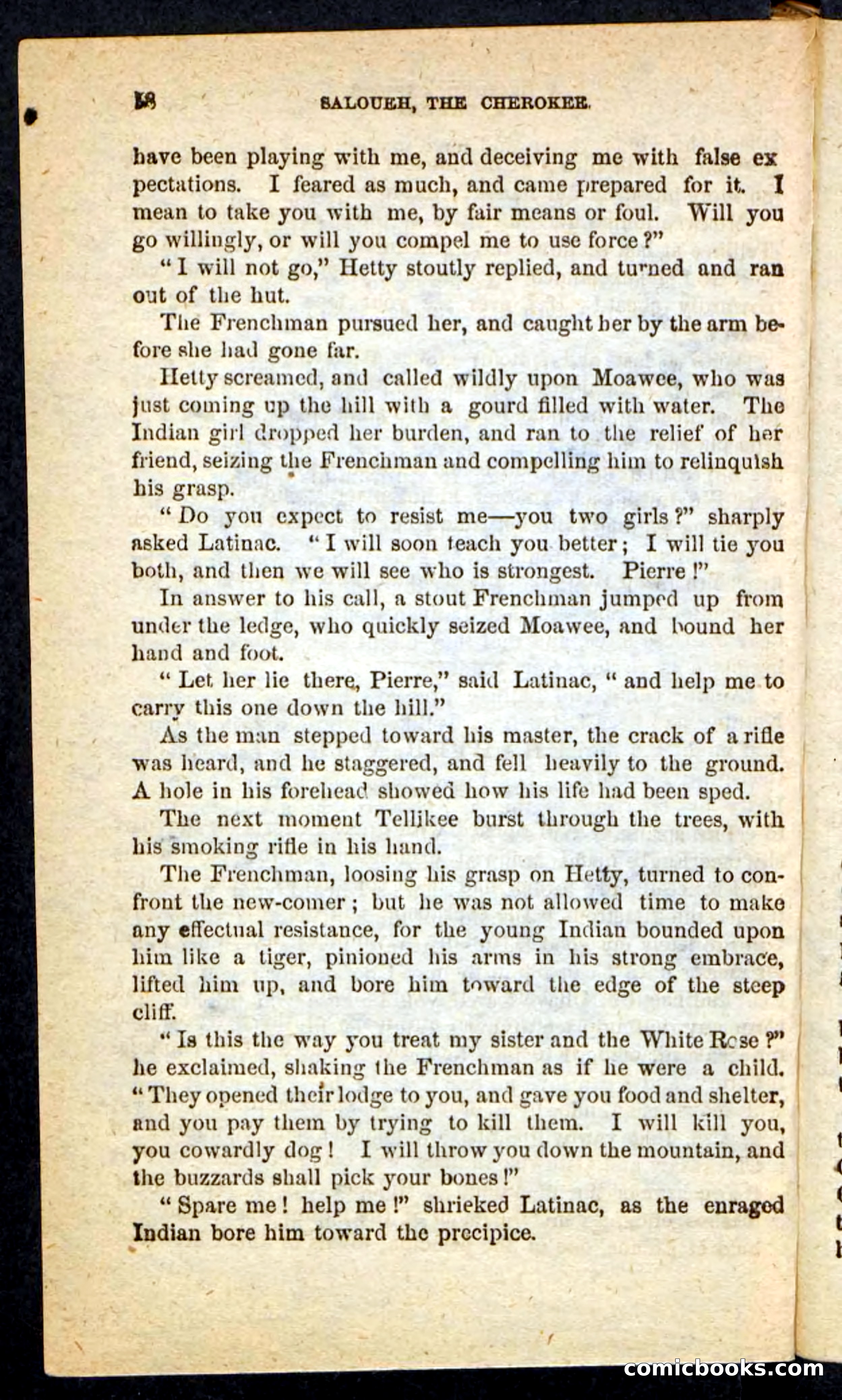 The Cherokee Chief — page 54 of 100
