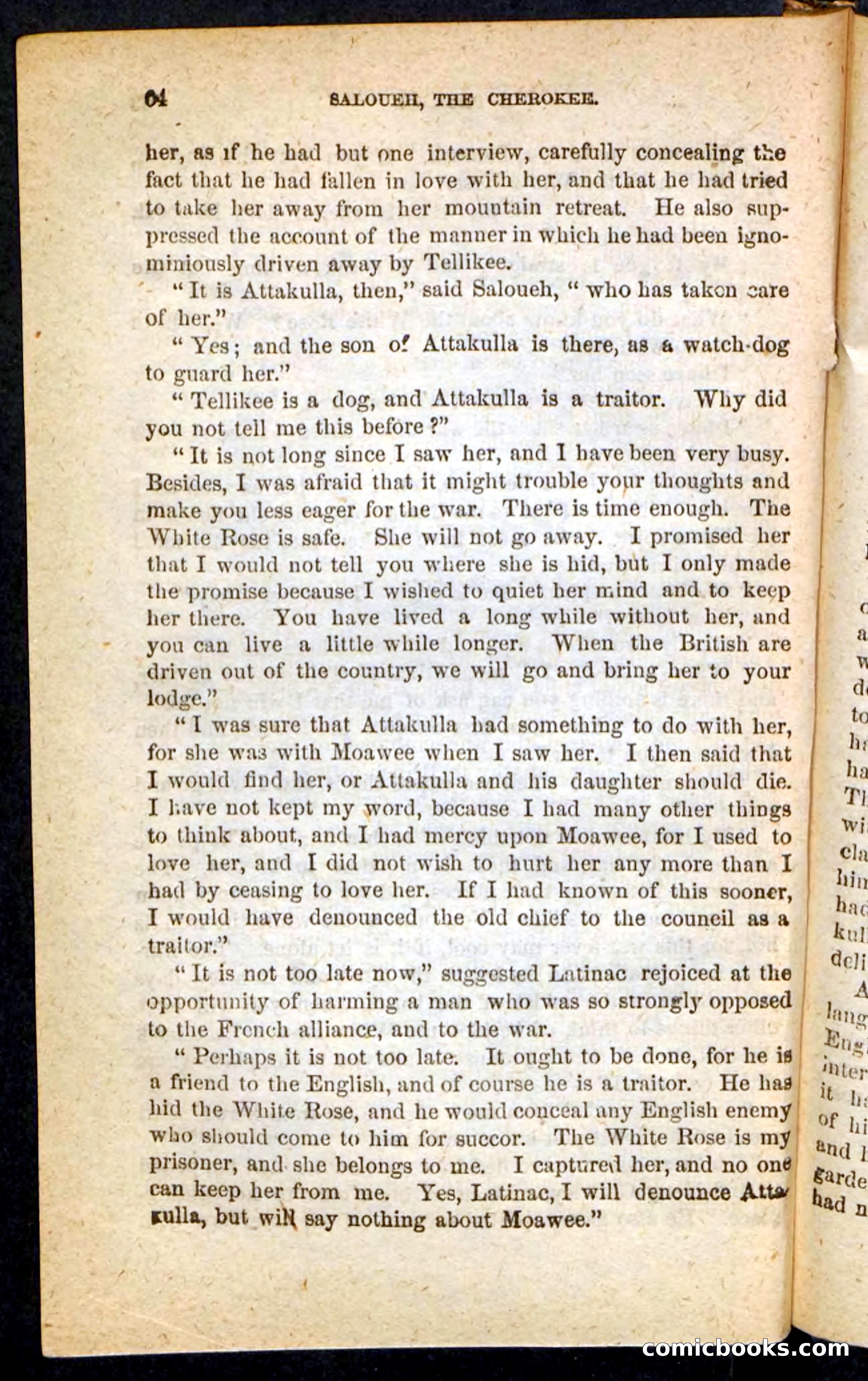 The Cherokee Chief — page 60 of 100