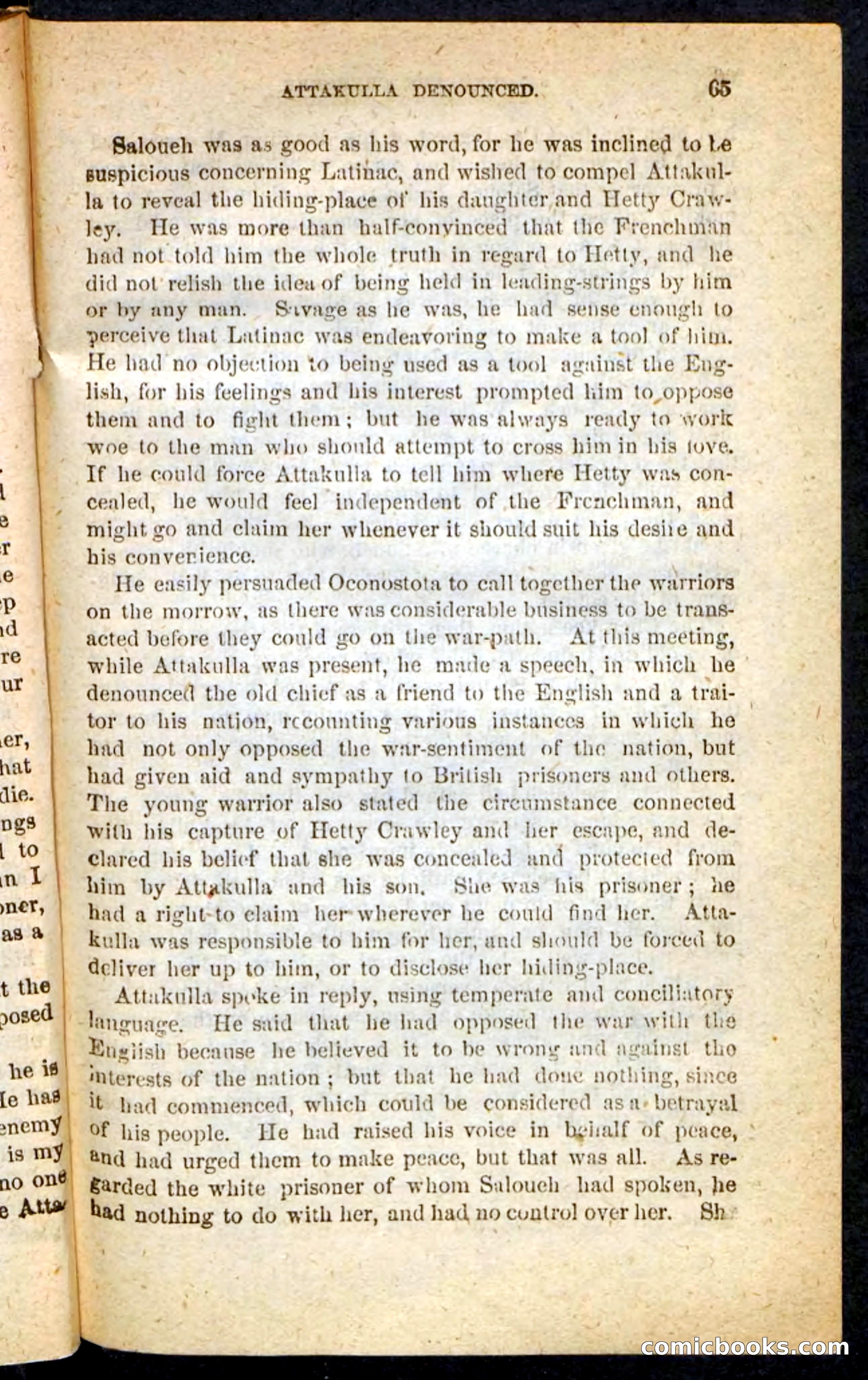 The Cherokee Chief — page 61 of 100
