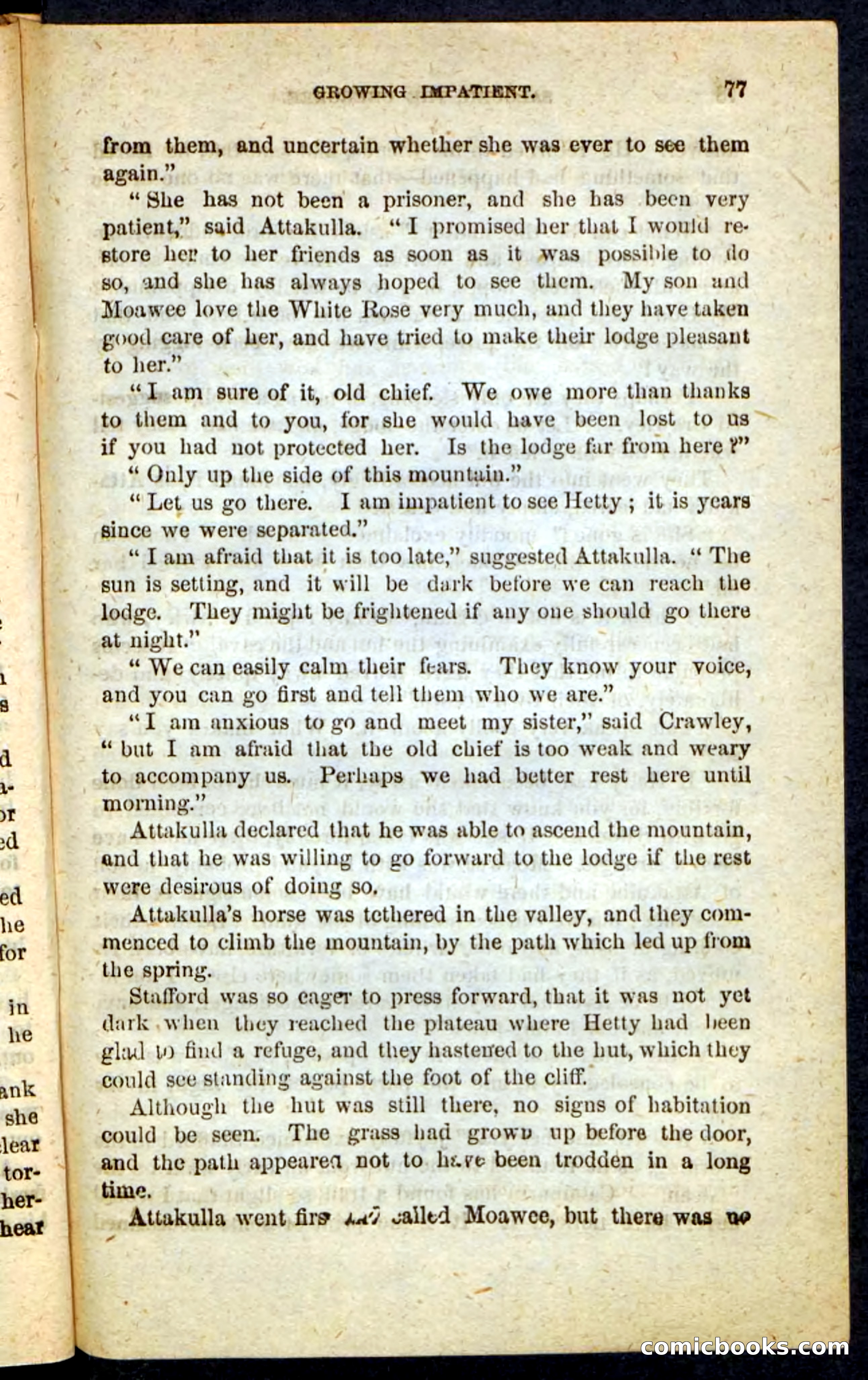 The Cherokee Chief — page 73 of 100