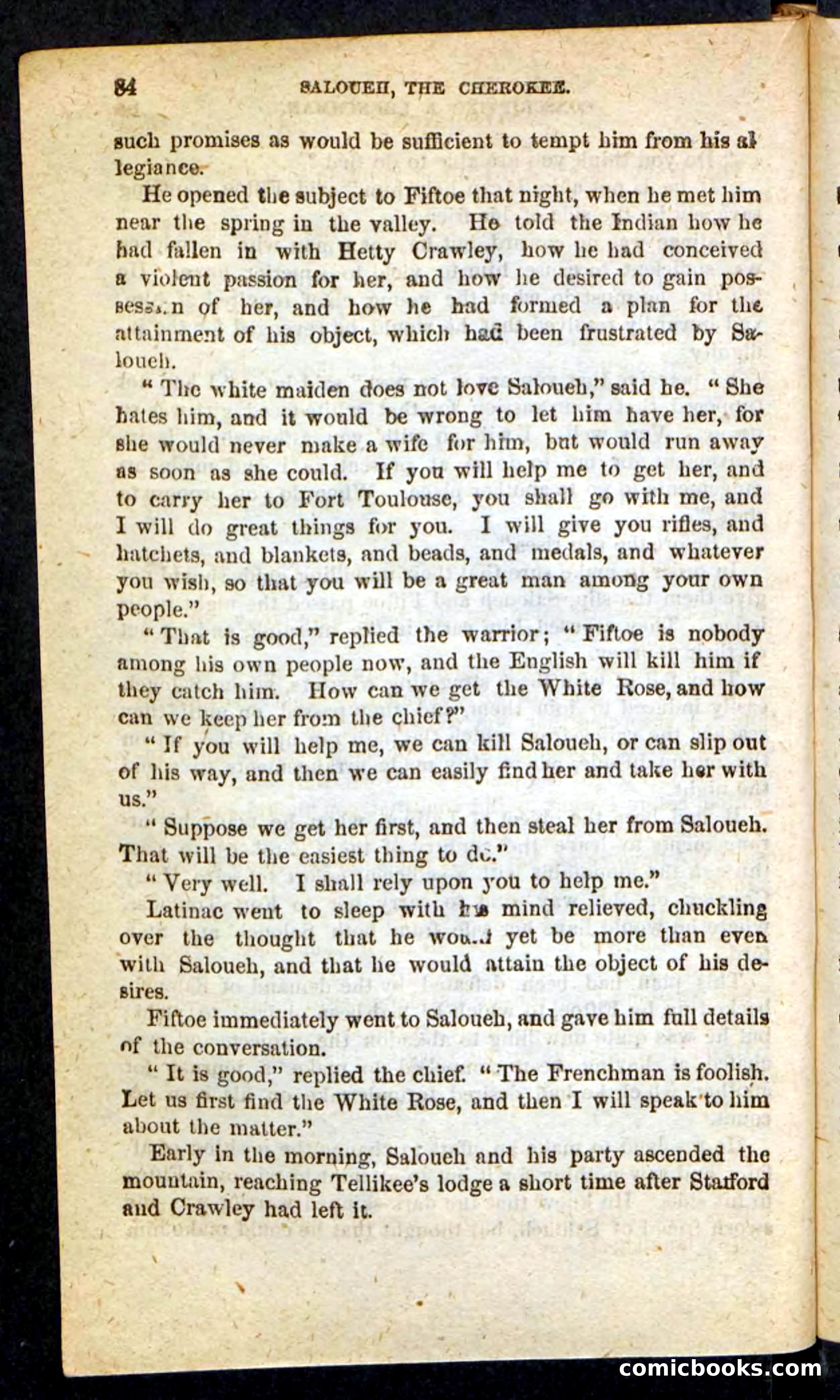 The Cherokee Chief — page 80 of 100