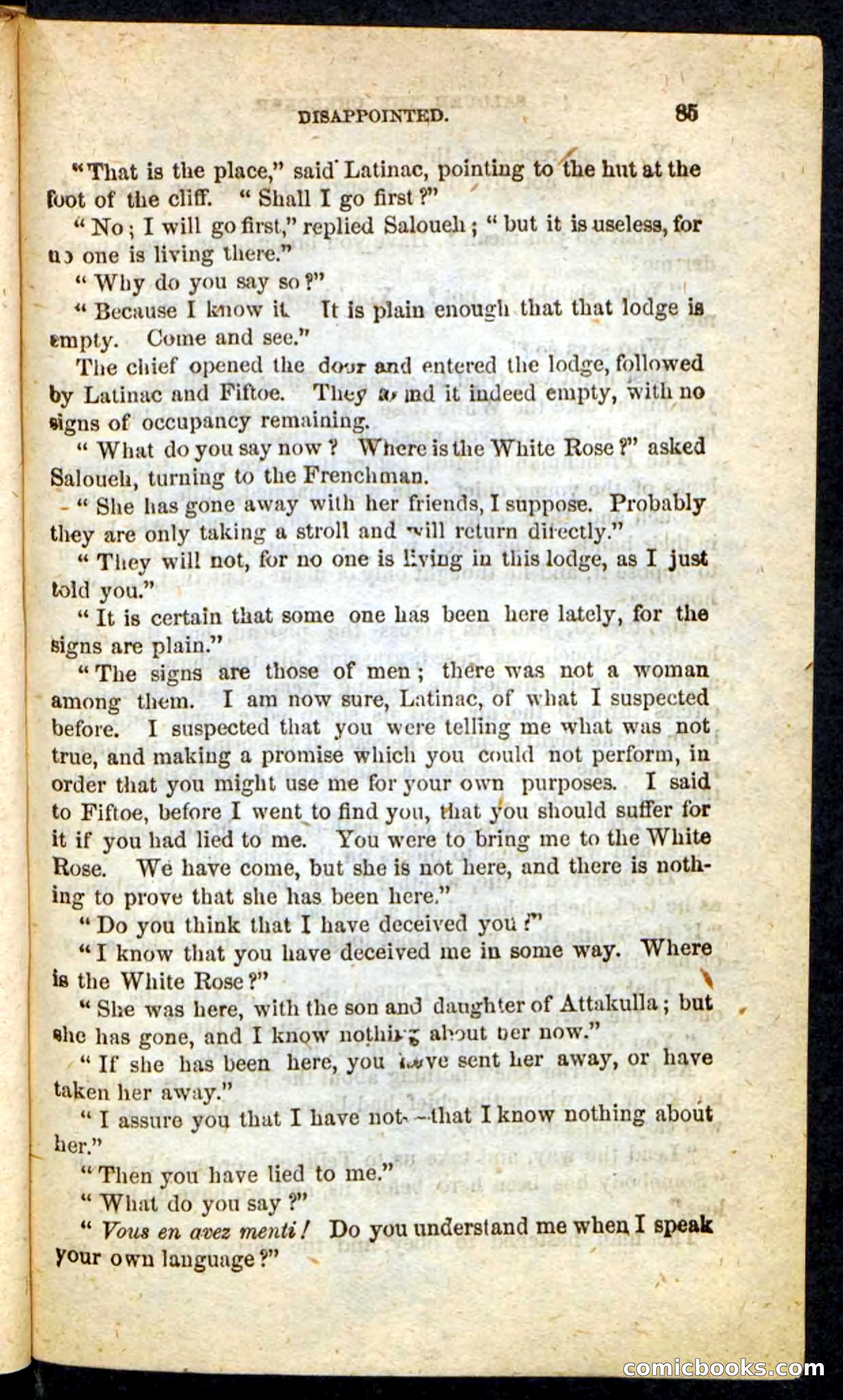 The Cherokee Chief — page 81 of 100