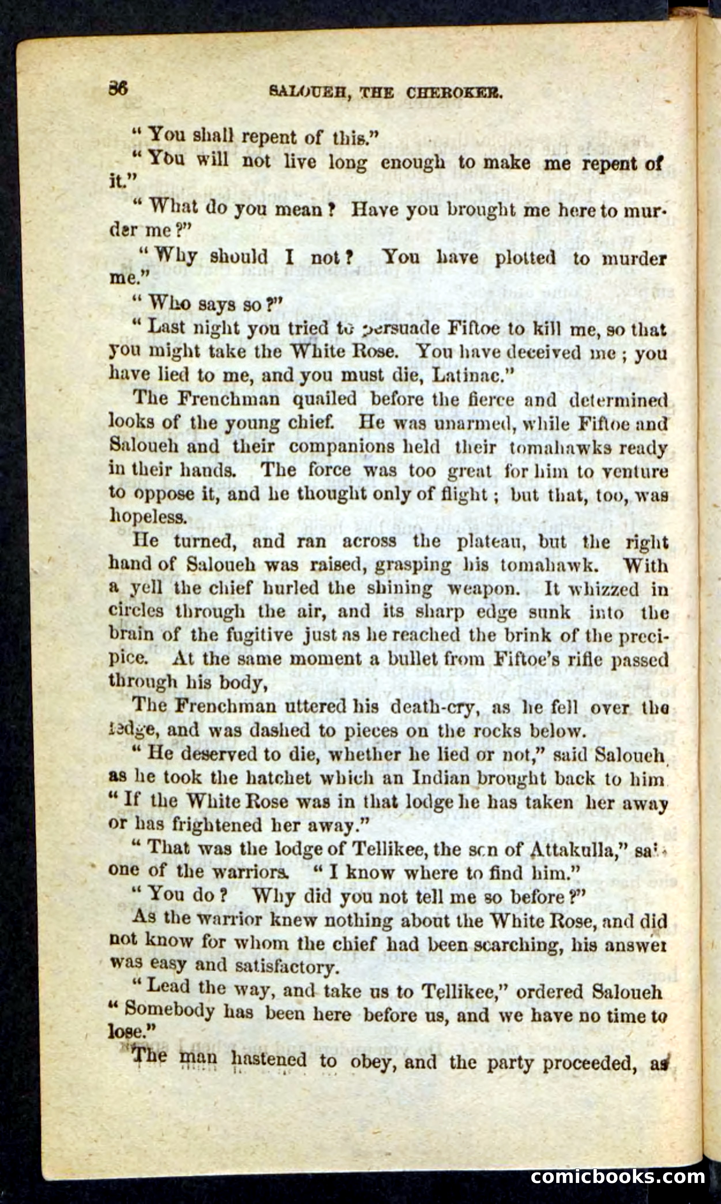 The Cherokee Chief — page 82 of 100