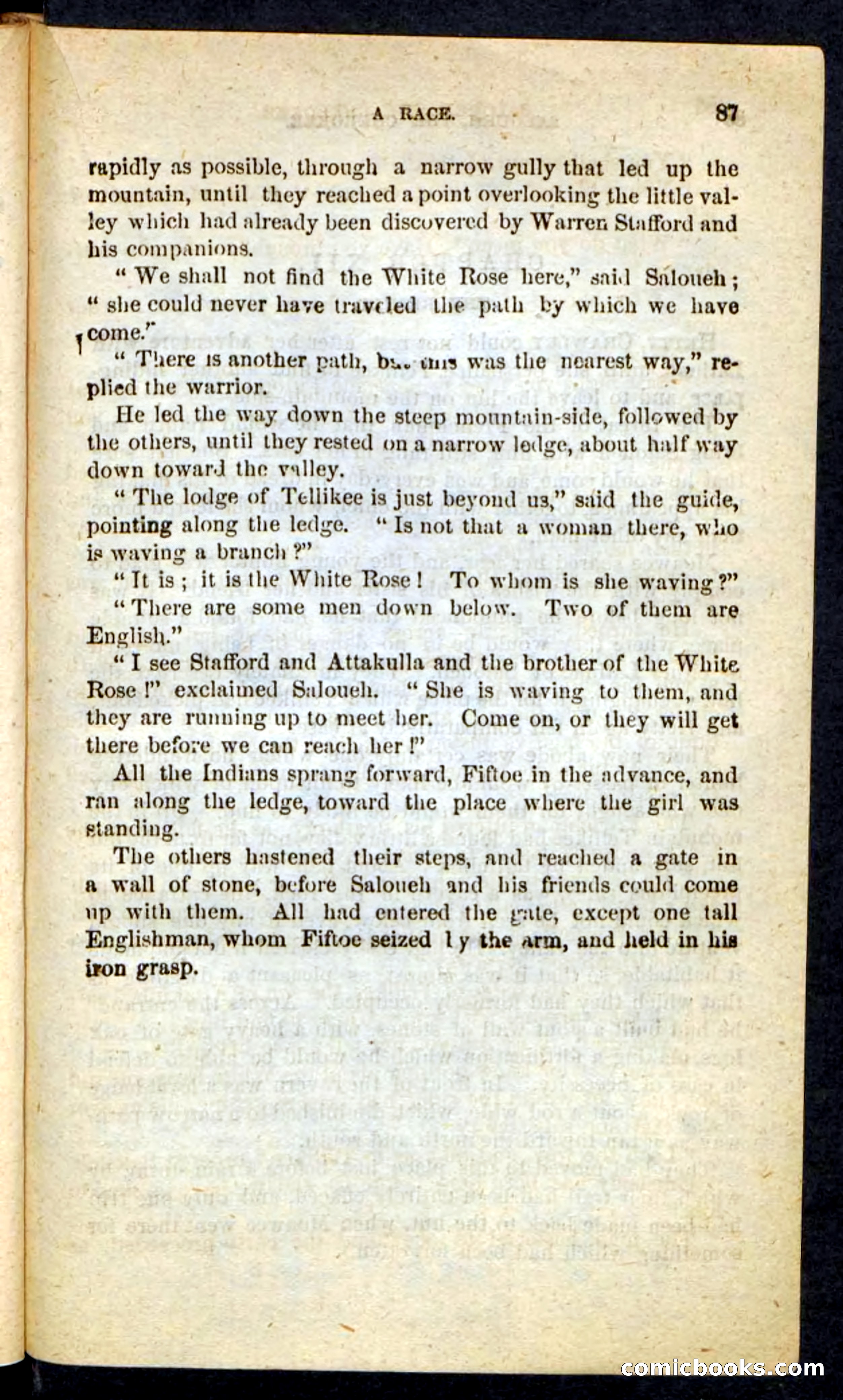 The Cherokee Chief — page 83 of 100