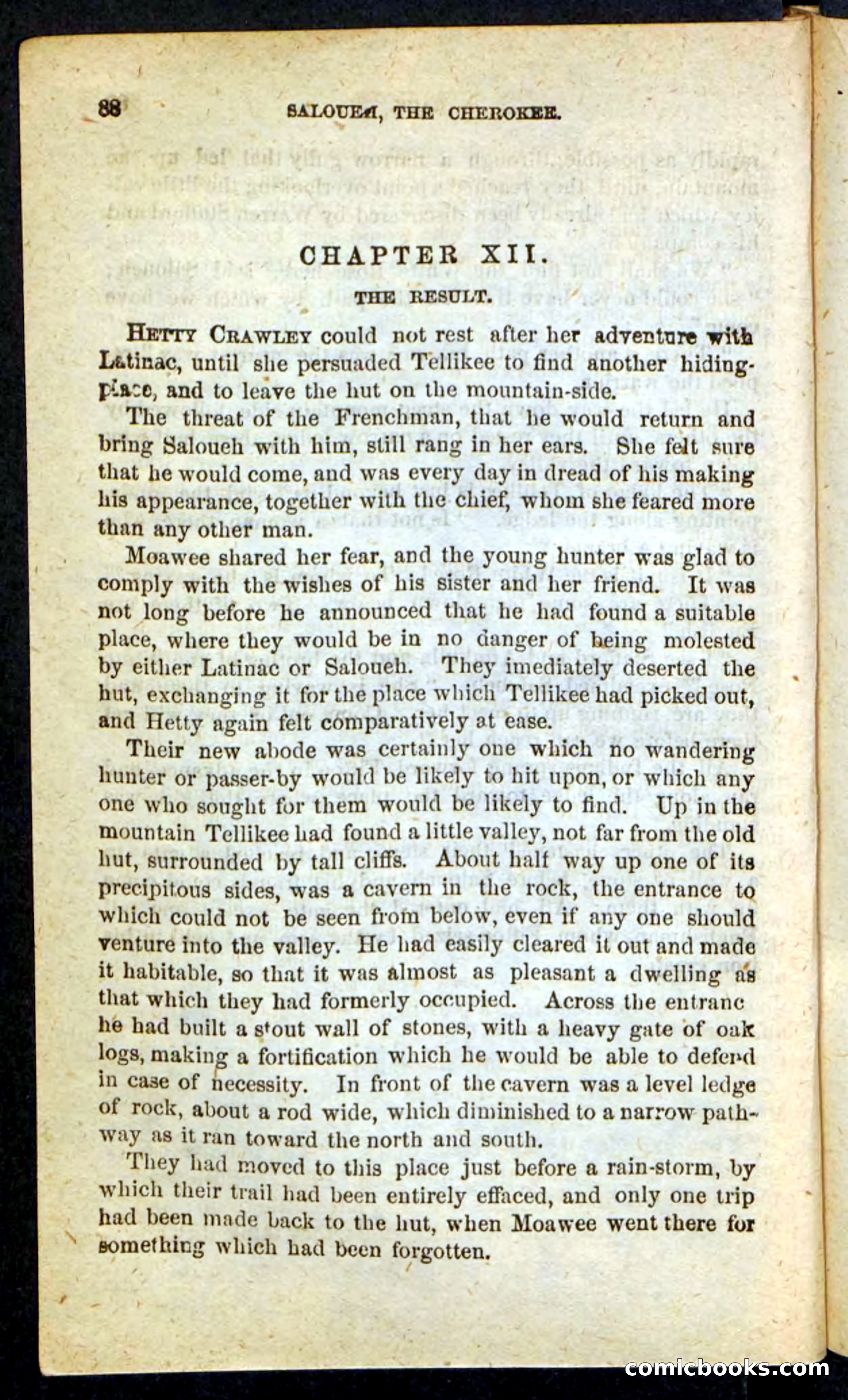 The Cherokee Chief — page 84 of 100