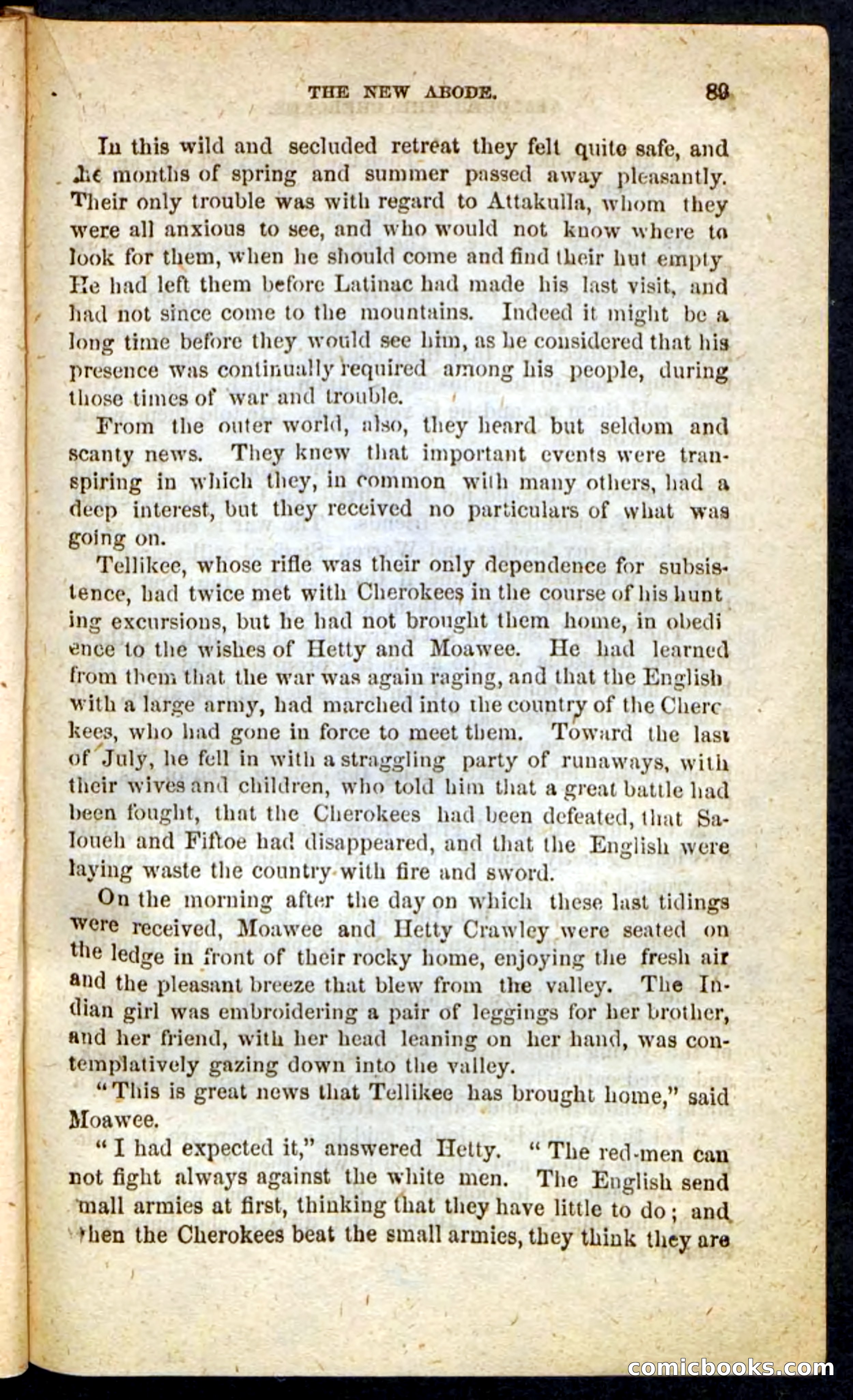 The Cherokee Chief — page 85 of 100