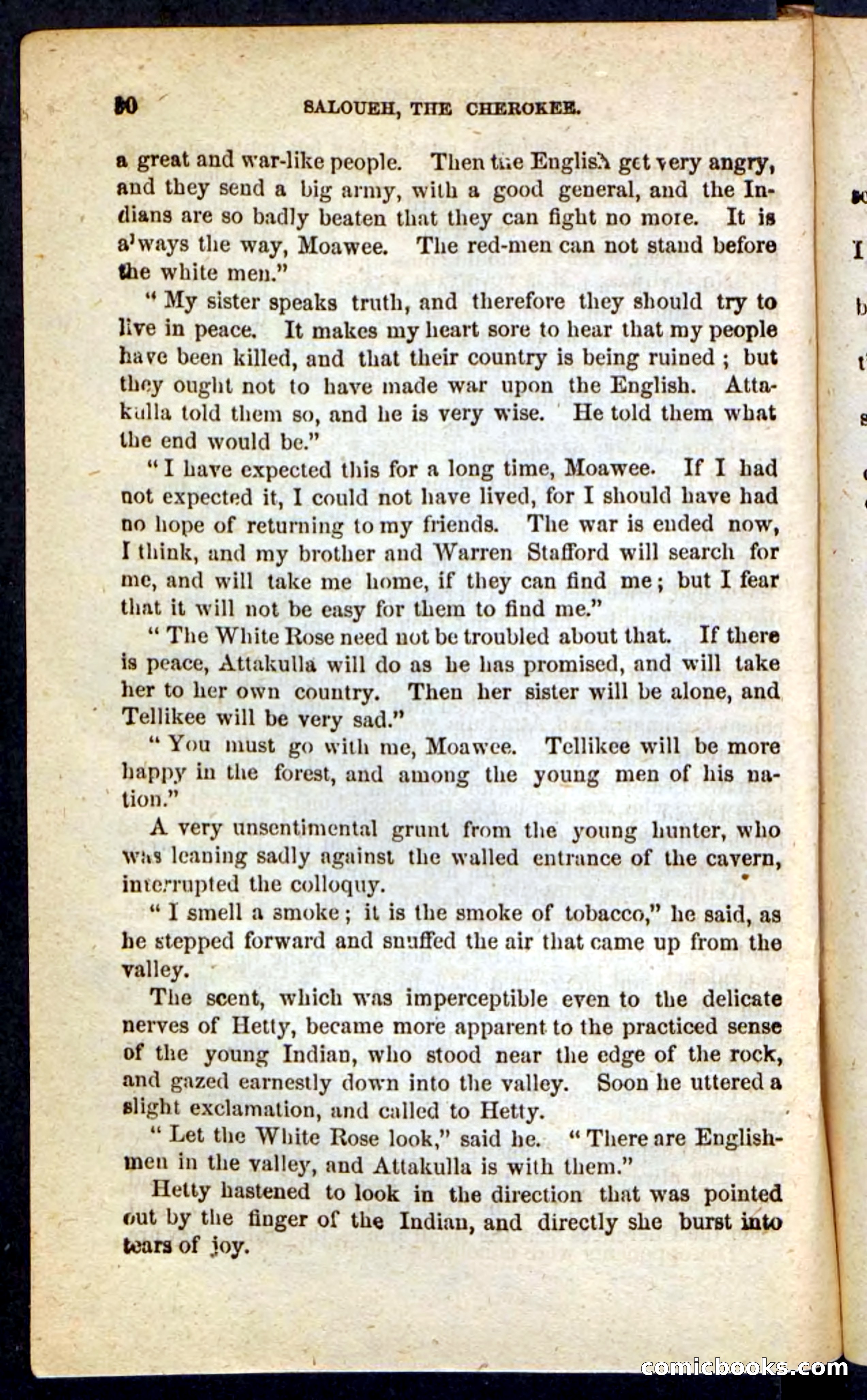 The Cherokee Chief — page 86 of 100