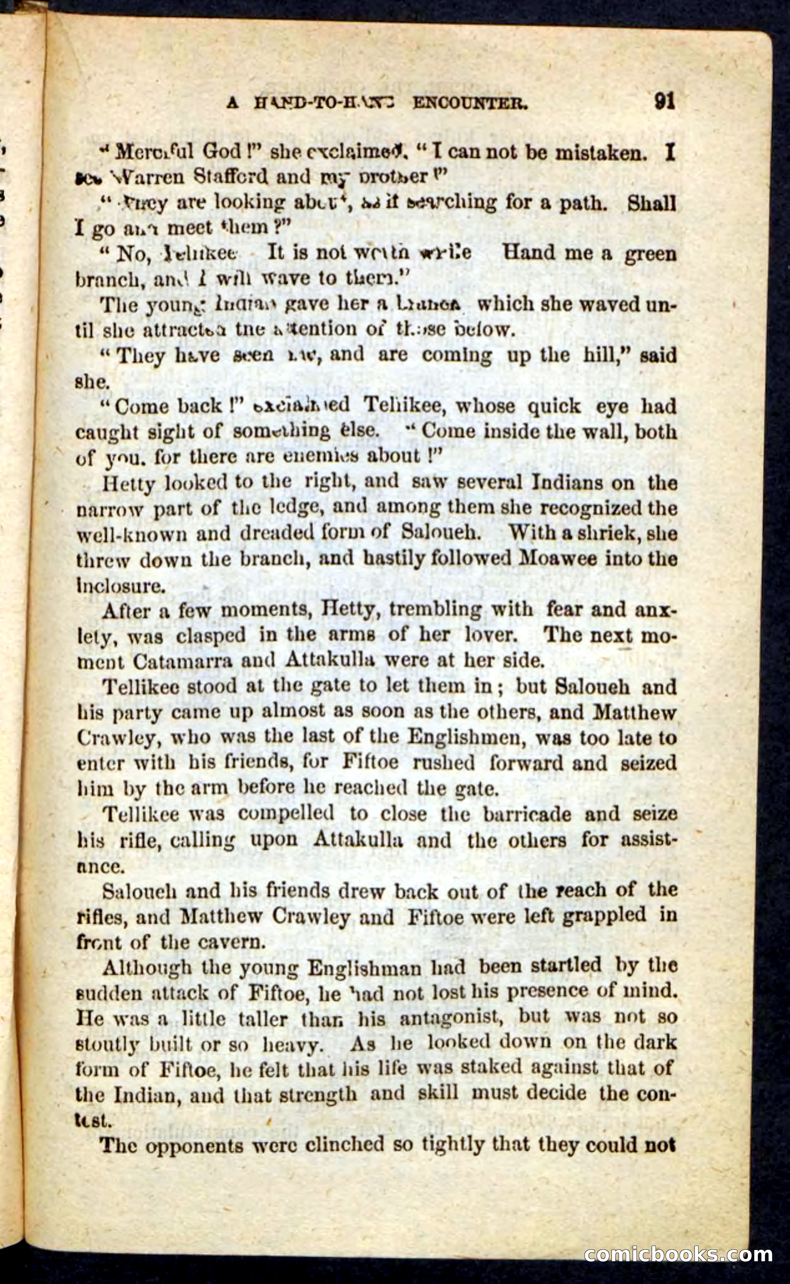 The Cherokee Chief — page 87 of 100