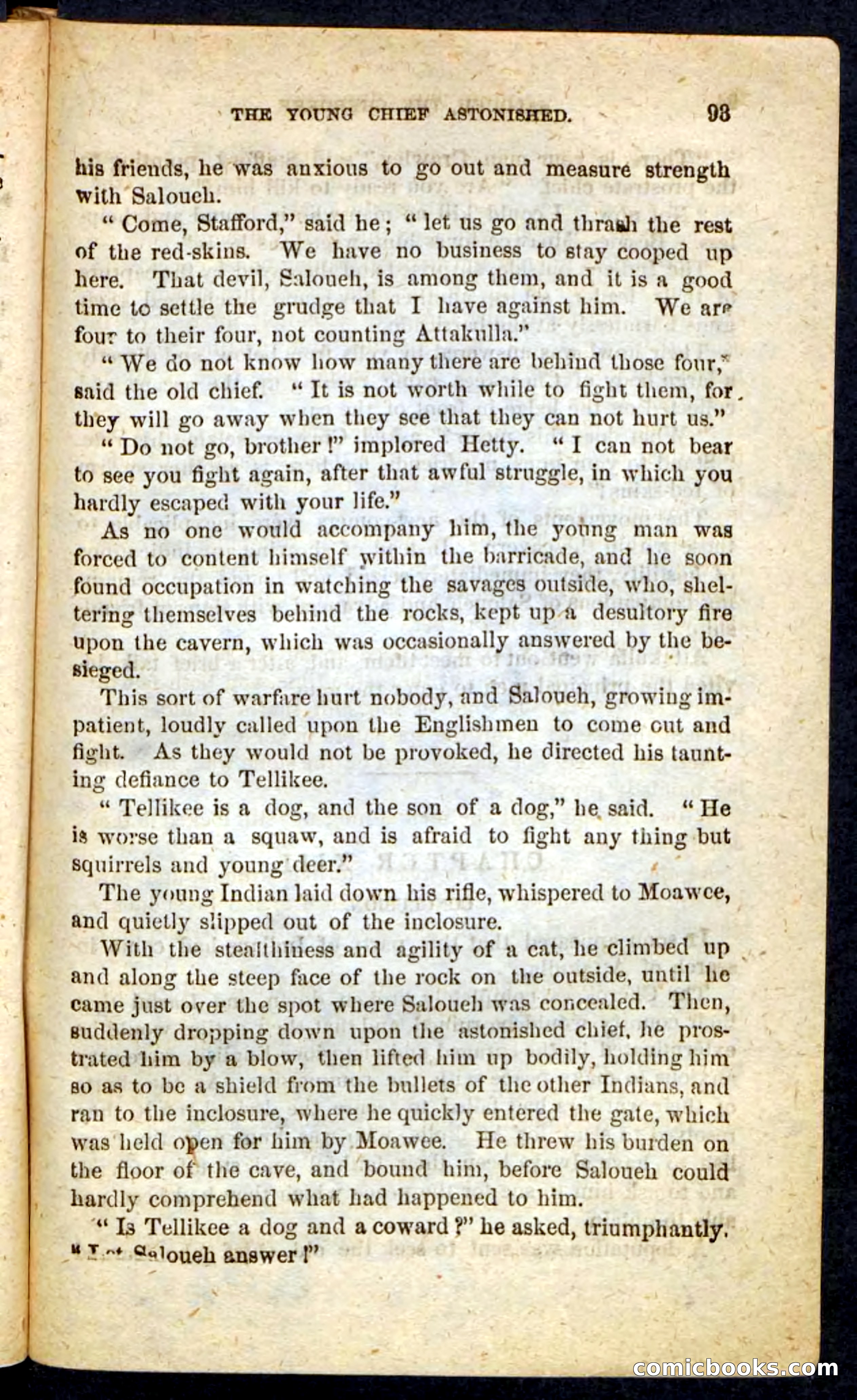 The Cherokee Chief — page 89 of 100