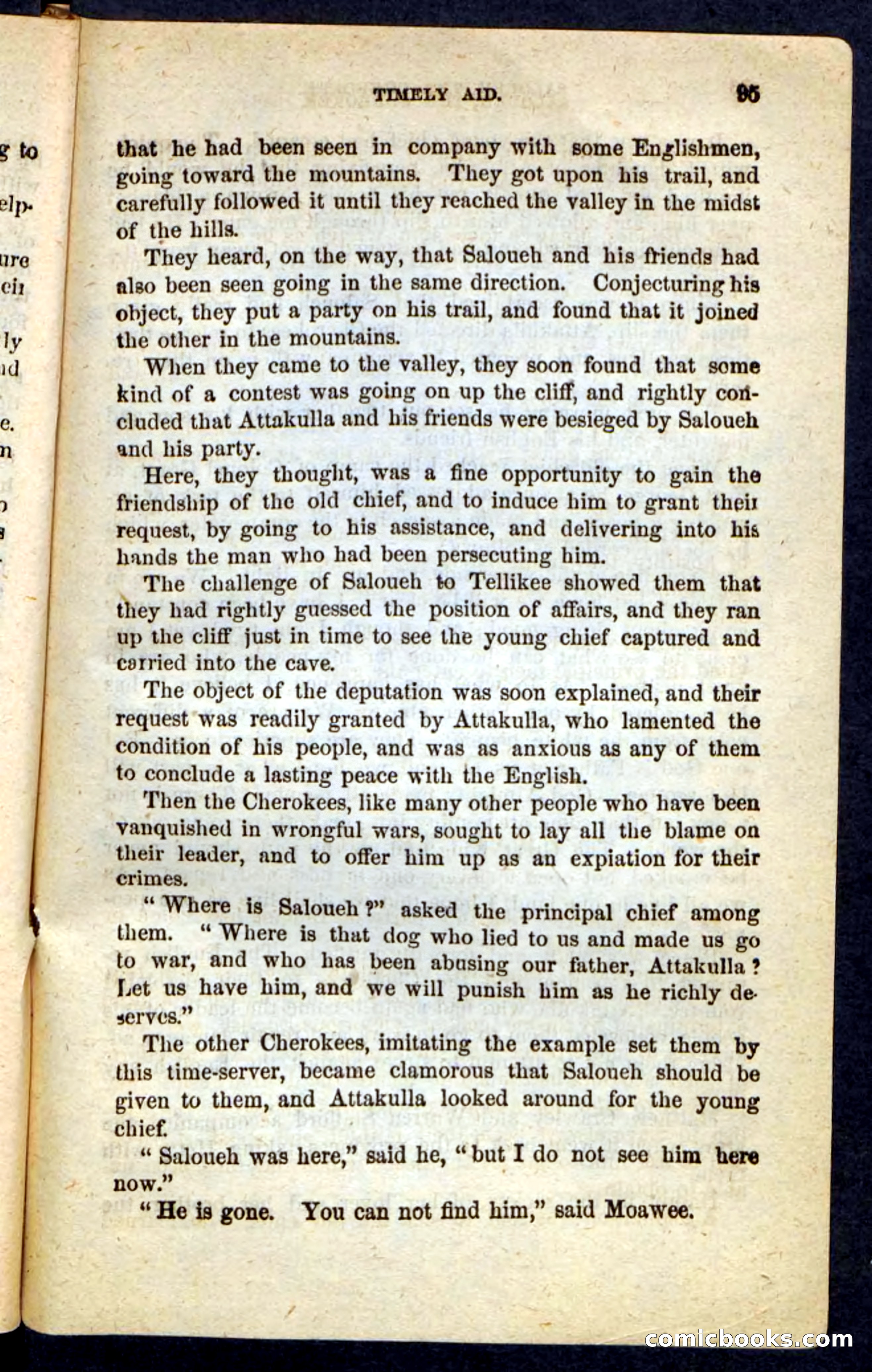 The Cherokee Chief — page 91 of 100