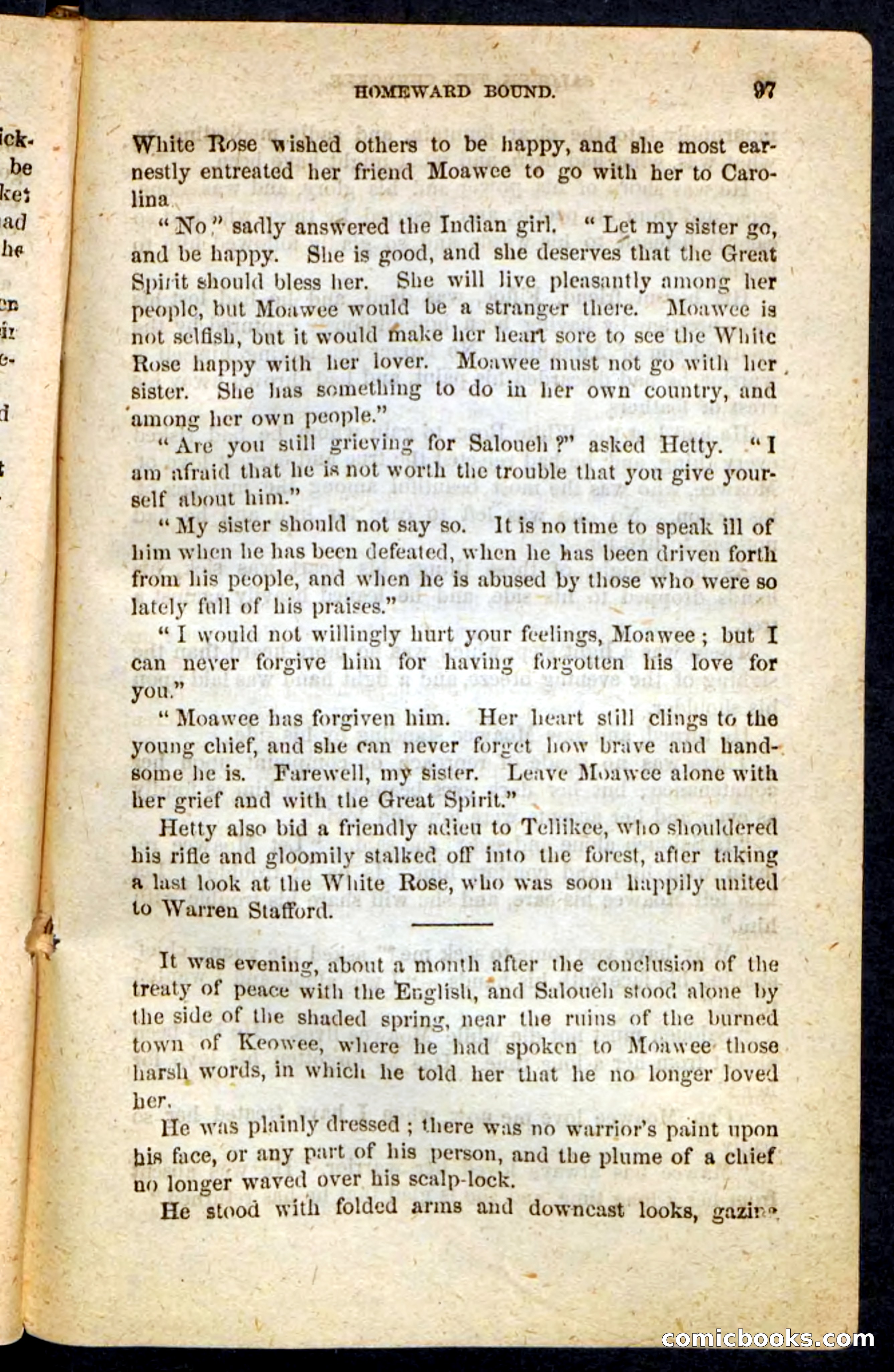 The Cherokee Chief — page 93 of 100