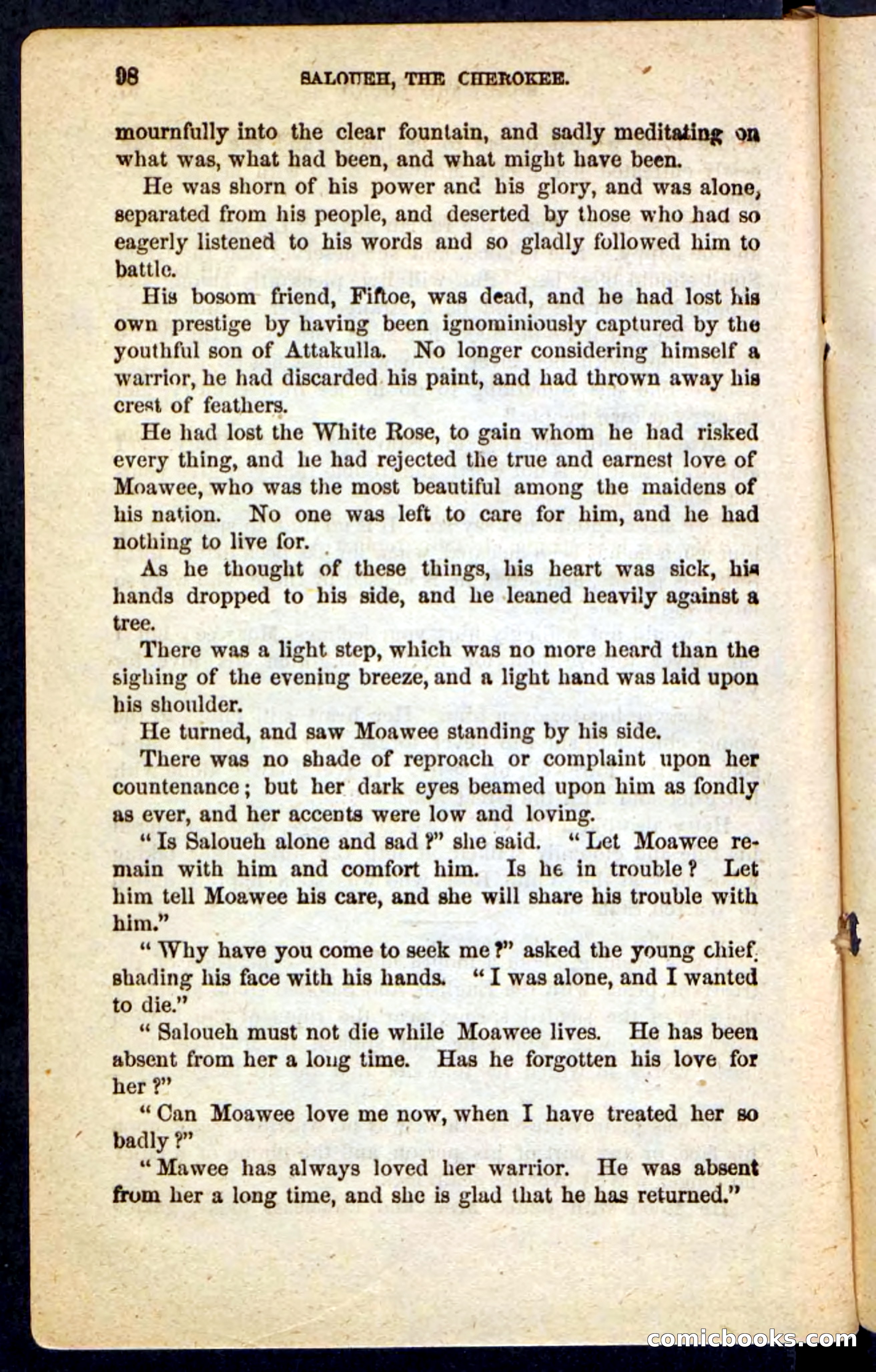 The Cherokee Chief — page 94 of 100