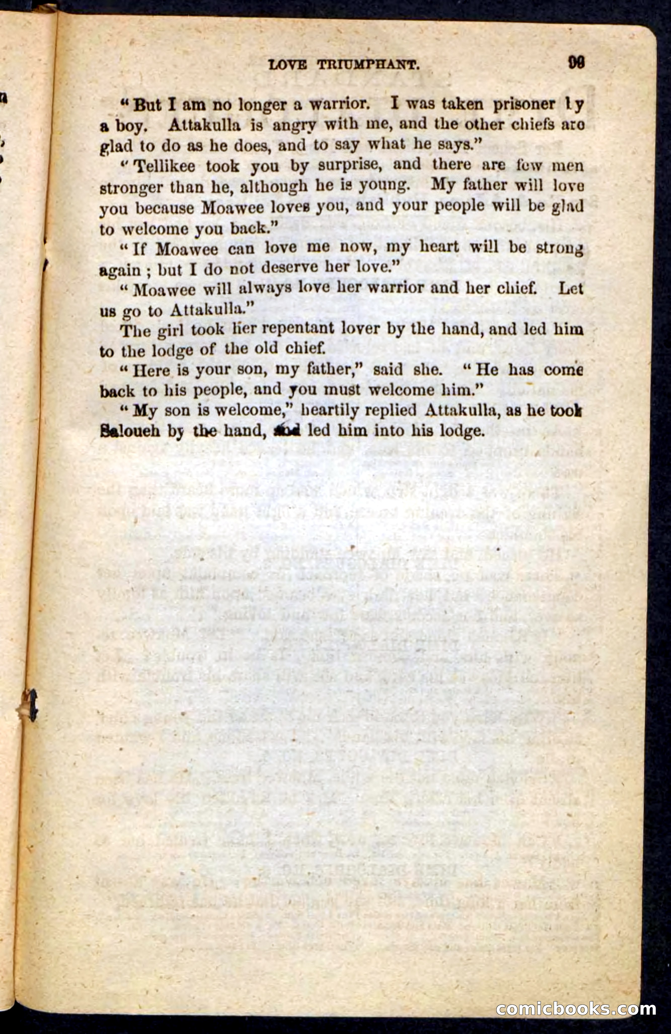 The Cherokee Chief — page 95 of 100