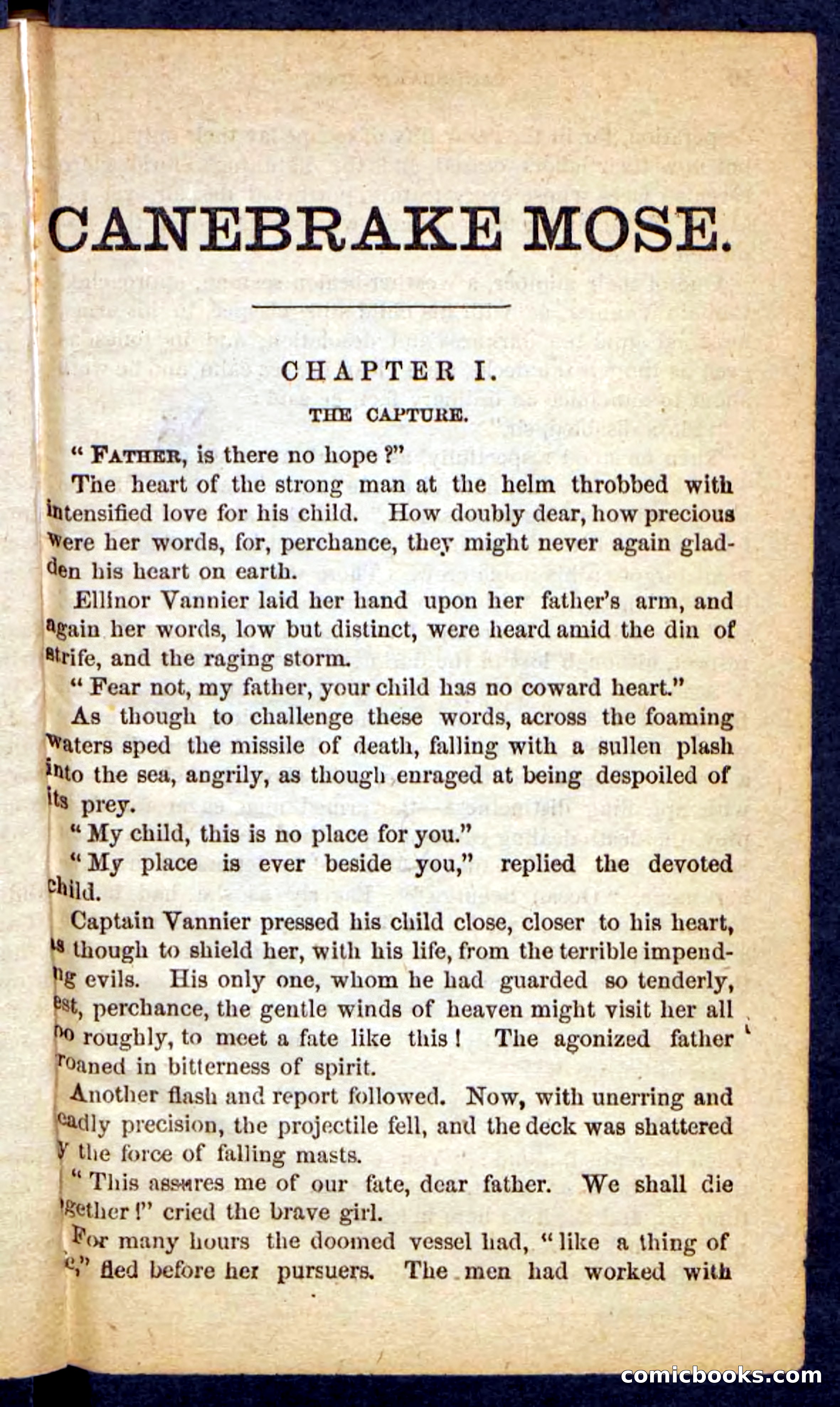 Beadle's Pocket Novels No. 162: Canebrake Mose — page 5 of 100