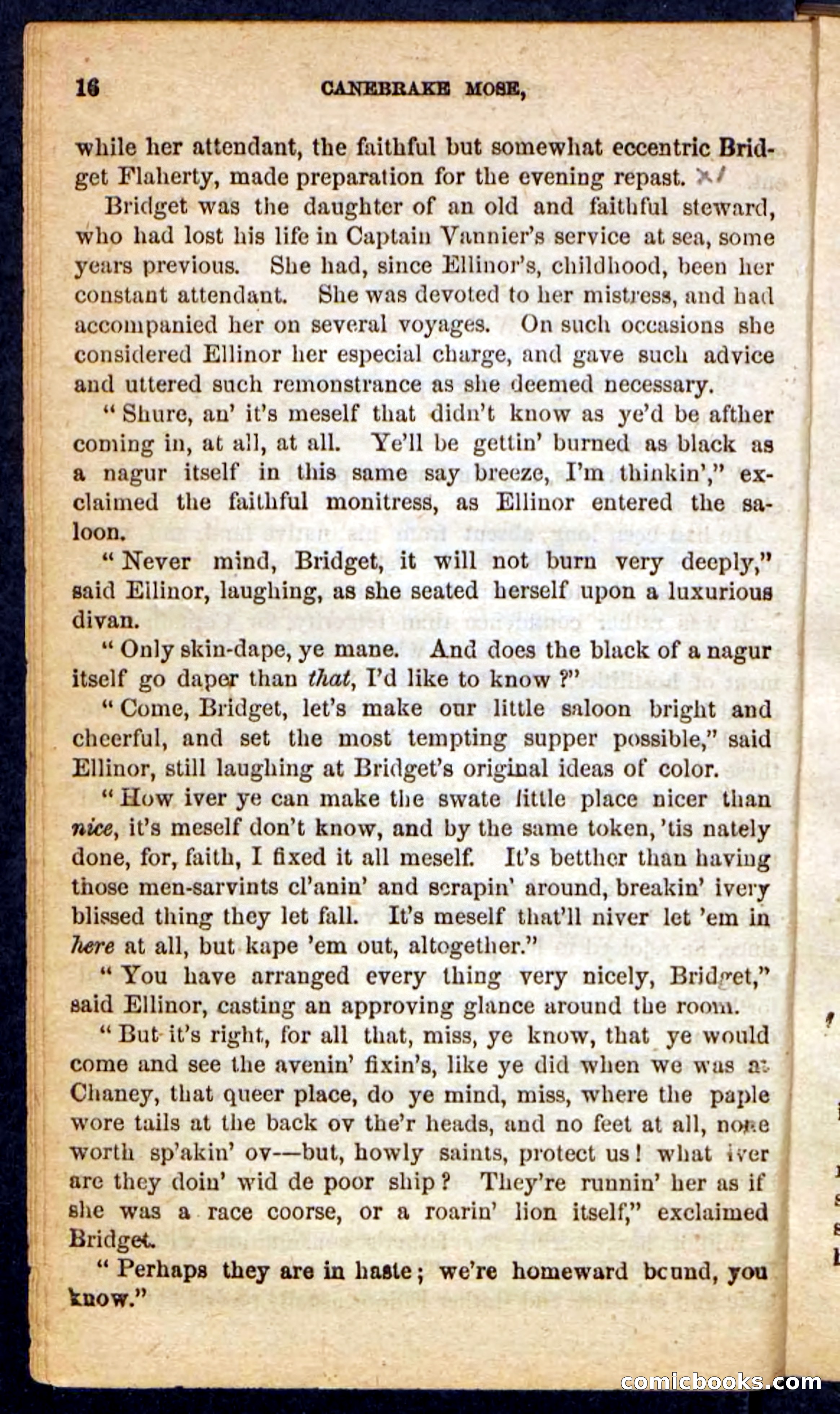 Beadle's Pocket Novels No. 162: Canebrake Mose — page 12 of 100
