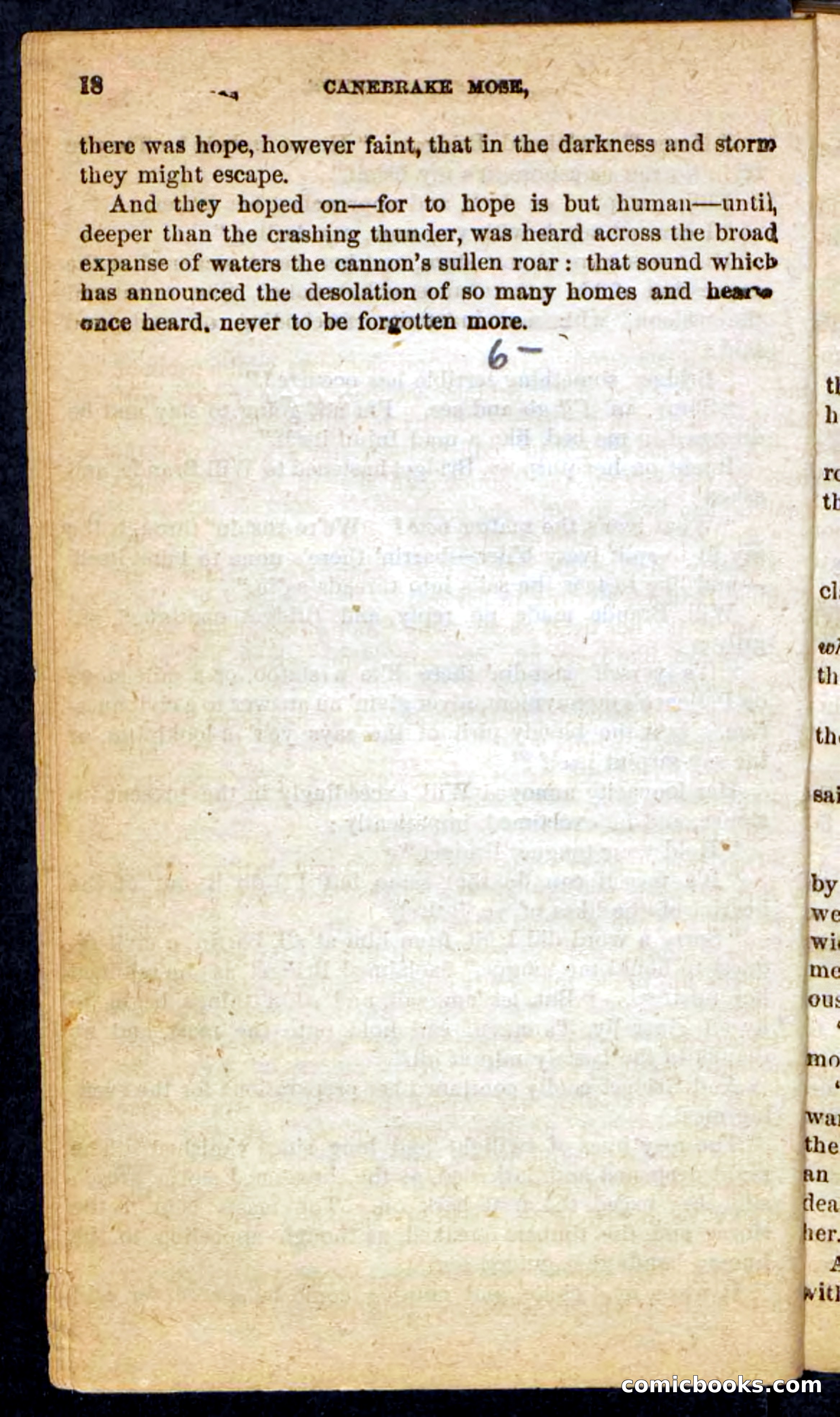 Beadle's Pocket Novels No. 162: Canebrake Mose — page 14 of 100