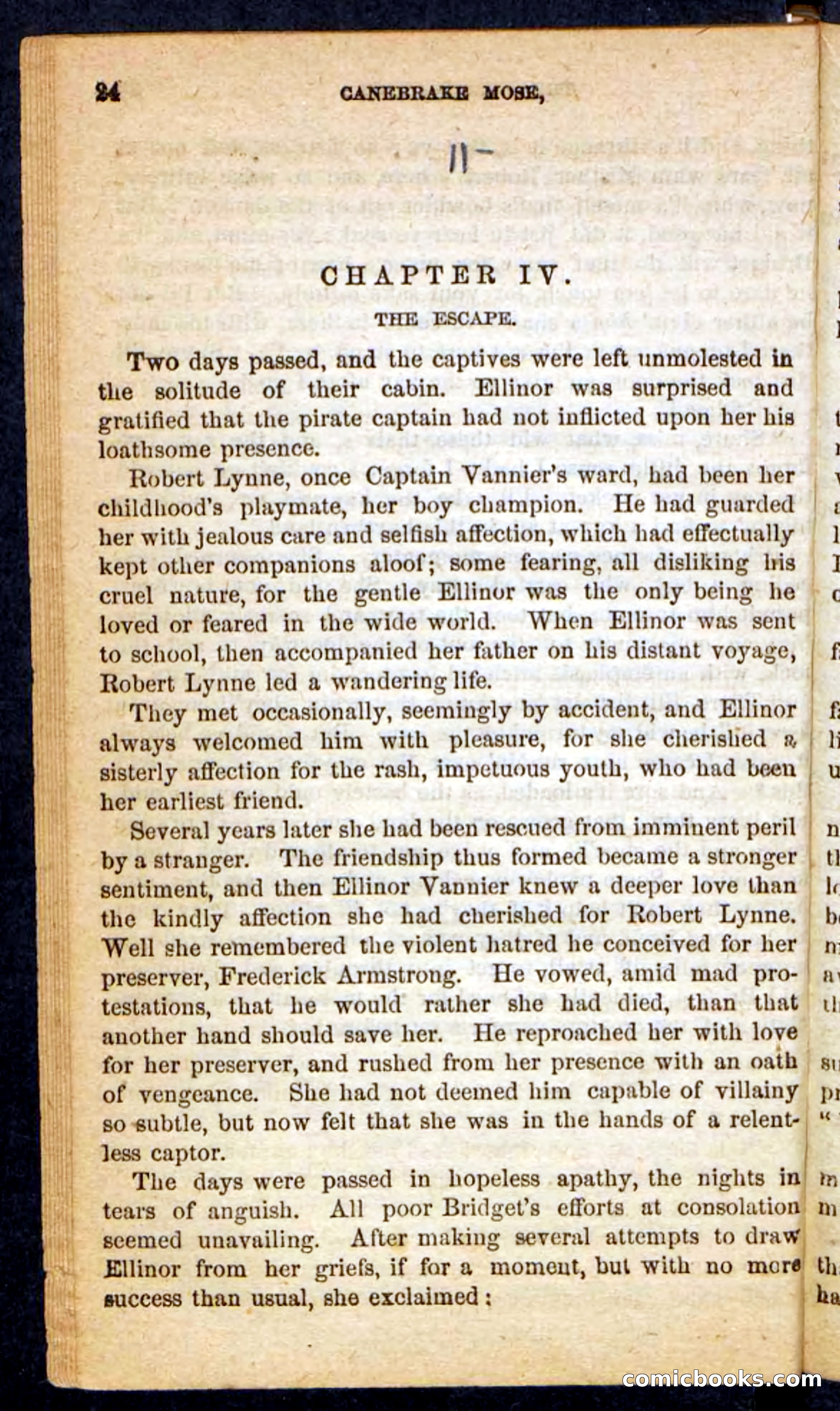 Beadle's Pocket Novels No. 162: Canebrake Mose — page 20 of 100
