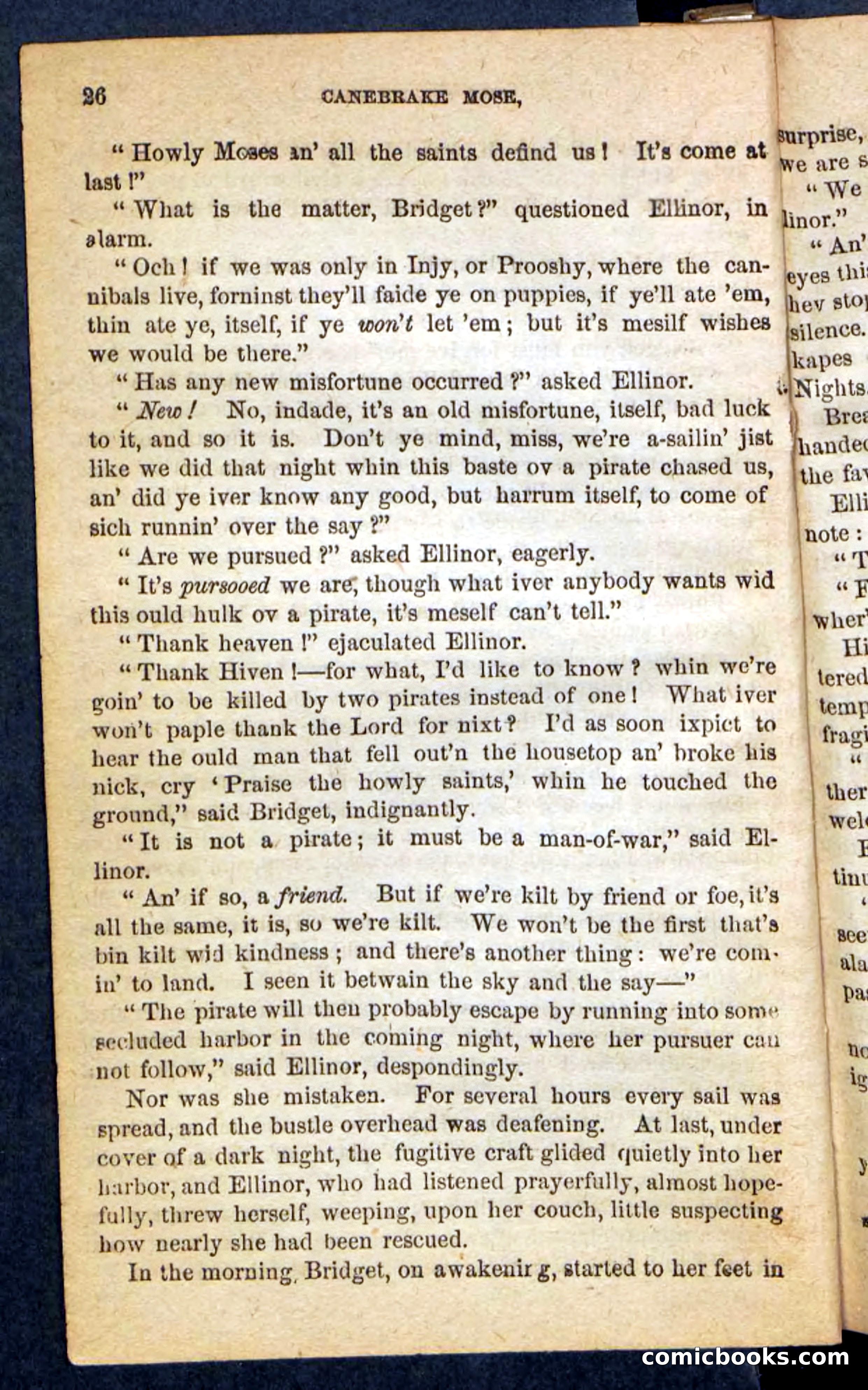 Beadle's Pocket Novels No. 162: Canebrake Mose — page 22 of 100