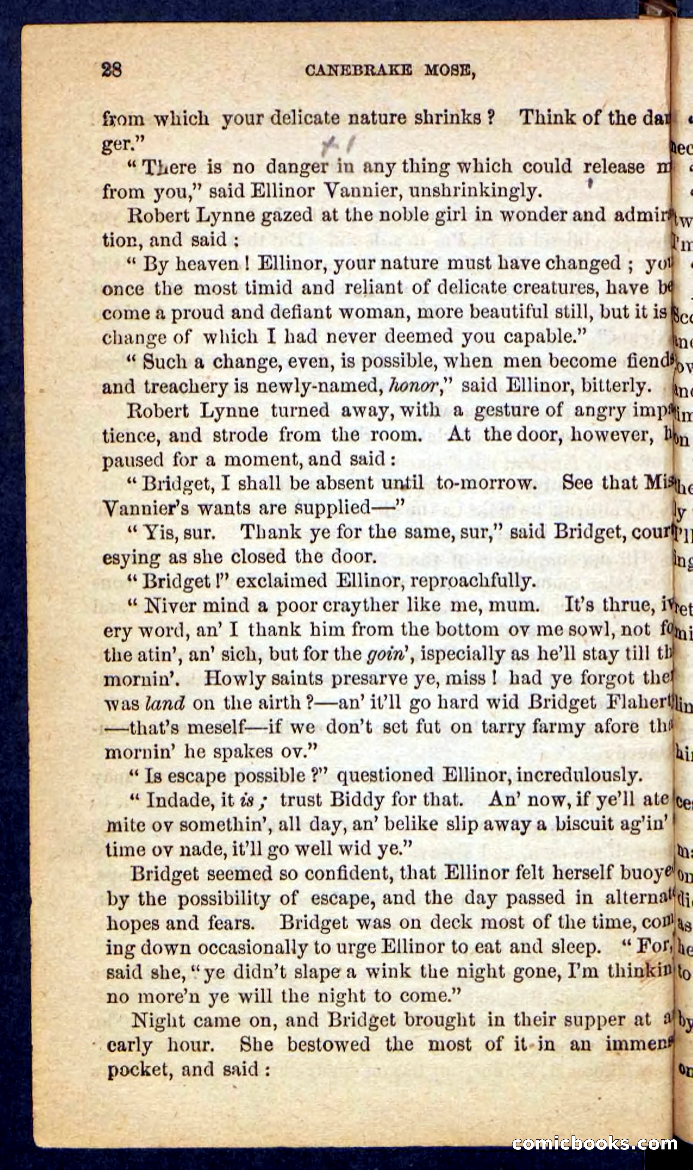 Beadle's Pocket Novels No. 162: Canebrake Mose — page 24 of 100