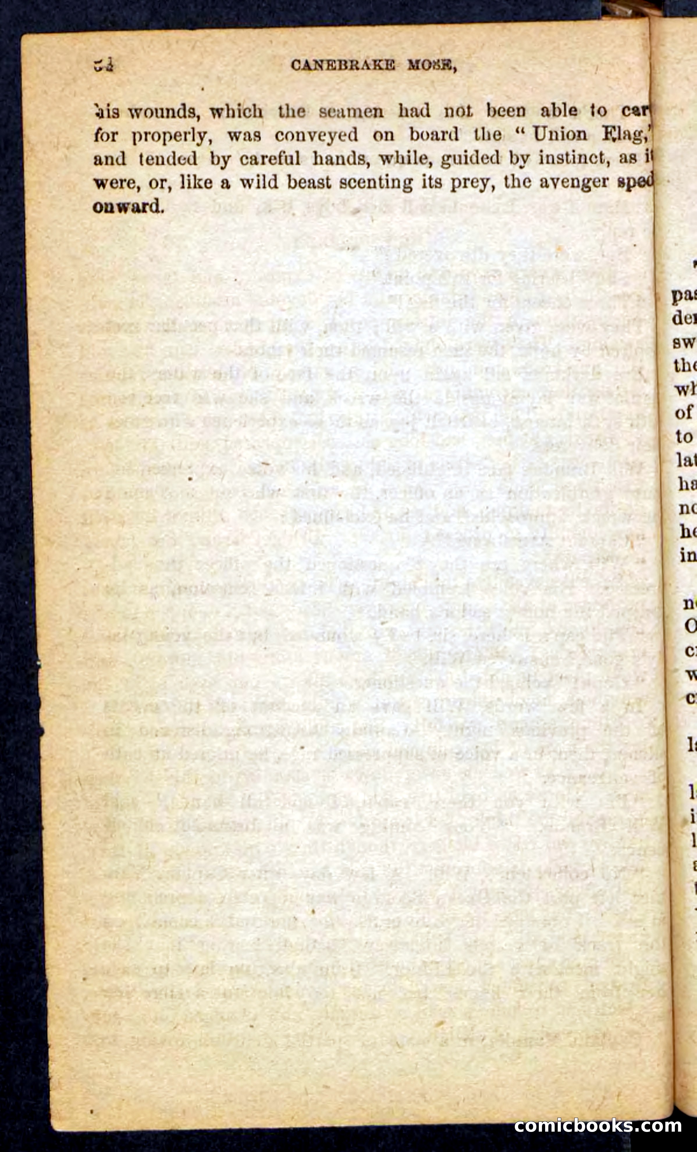 Beadle's Pocket Novels No. 162: Canebrake Mose — page 30 of 100