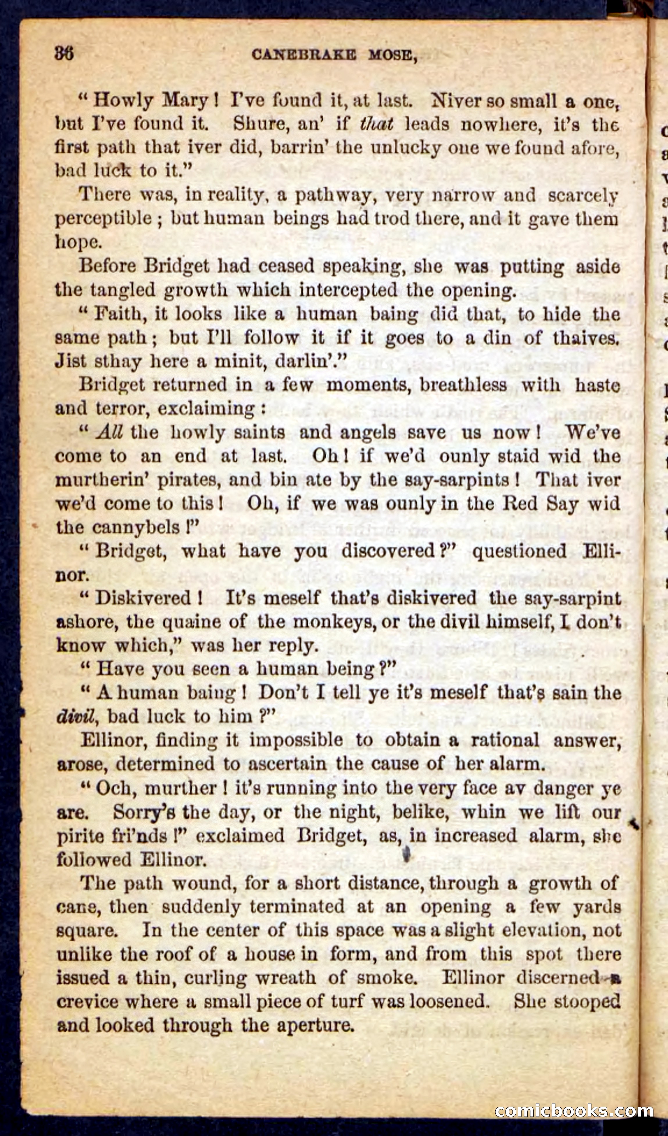Beadle's Pocket Novels No. 162: Canebrake Mose — page 32 of 100