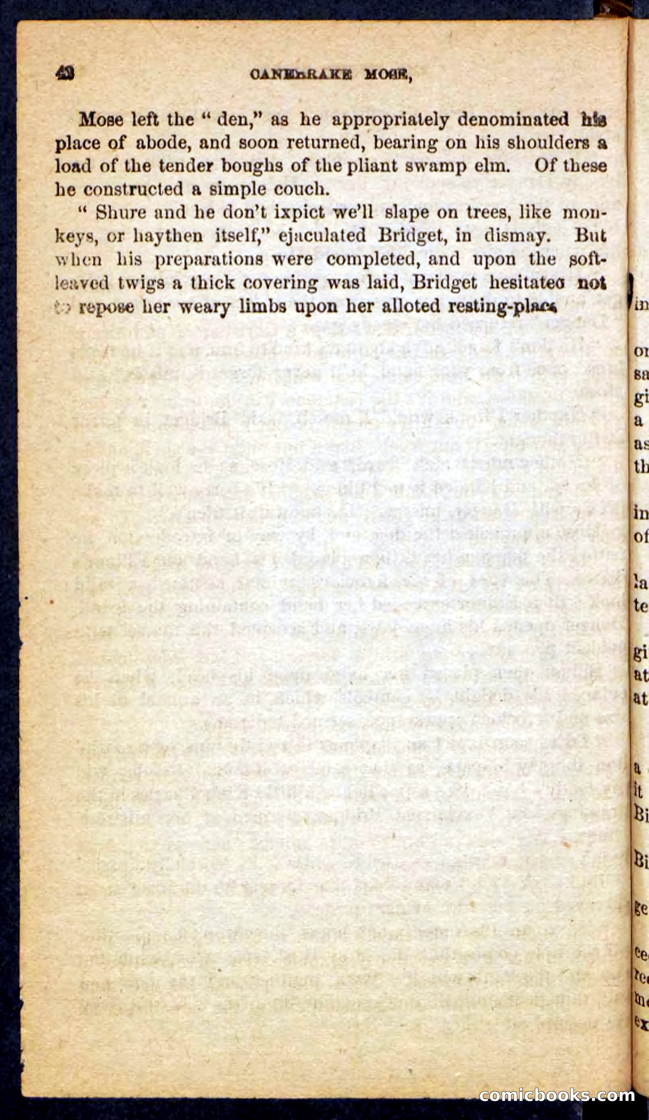 Beadle's Pocket Novels No. 162: Canebrake Mose — page 38 of 100