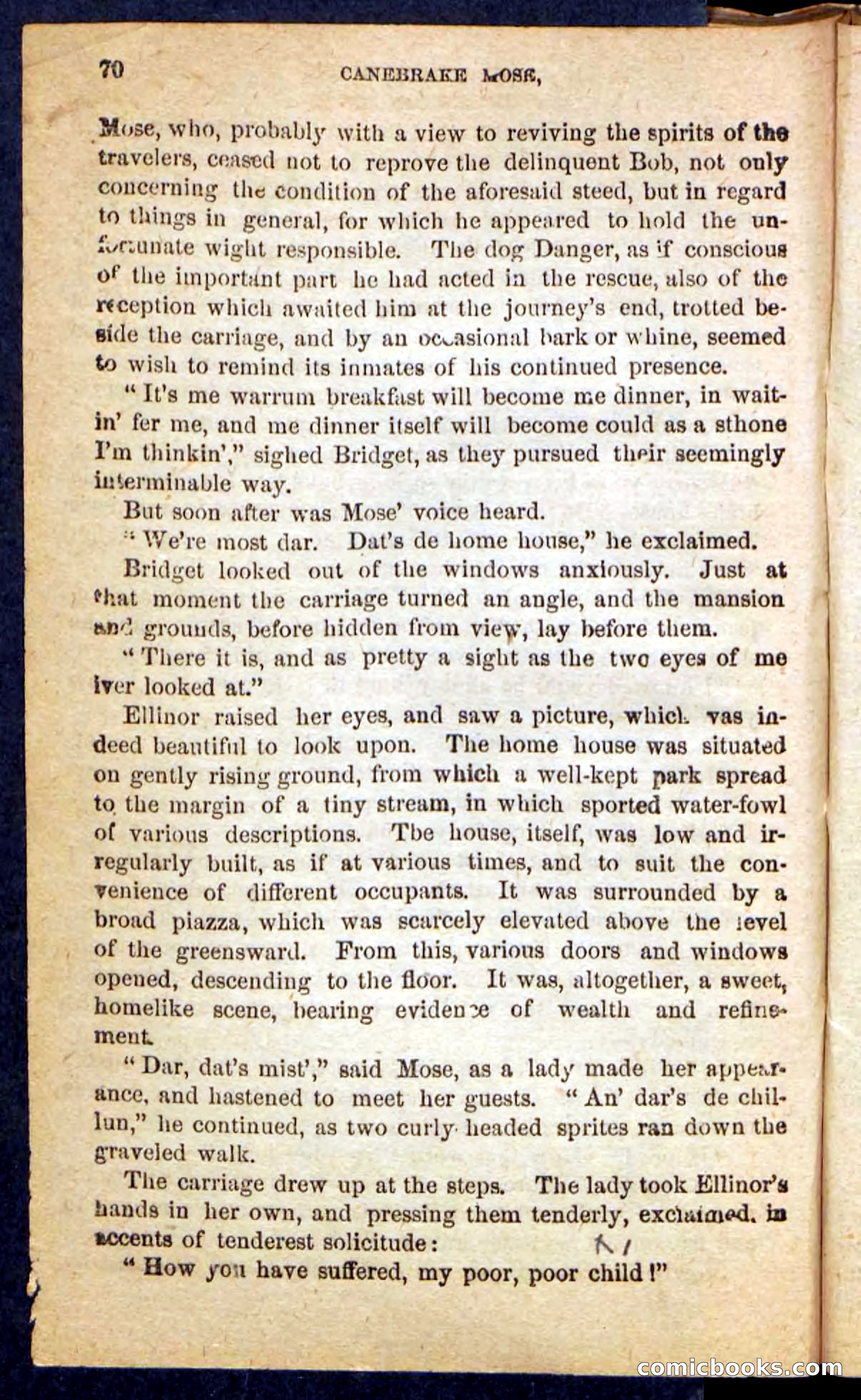 Beadle's Pocket Novels No. 162: Canebrake Mose — page 66 of 100