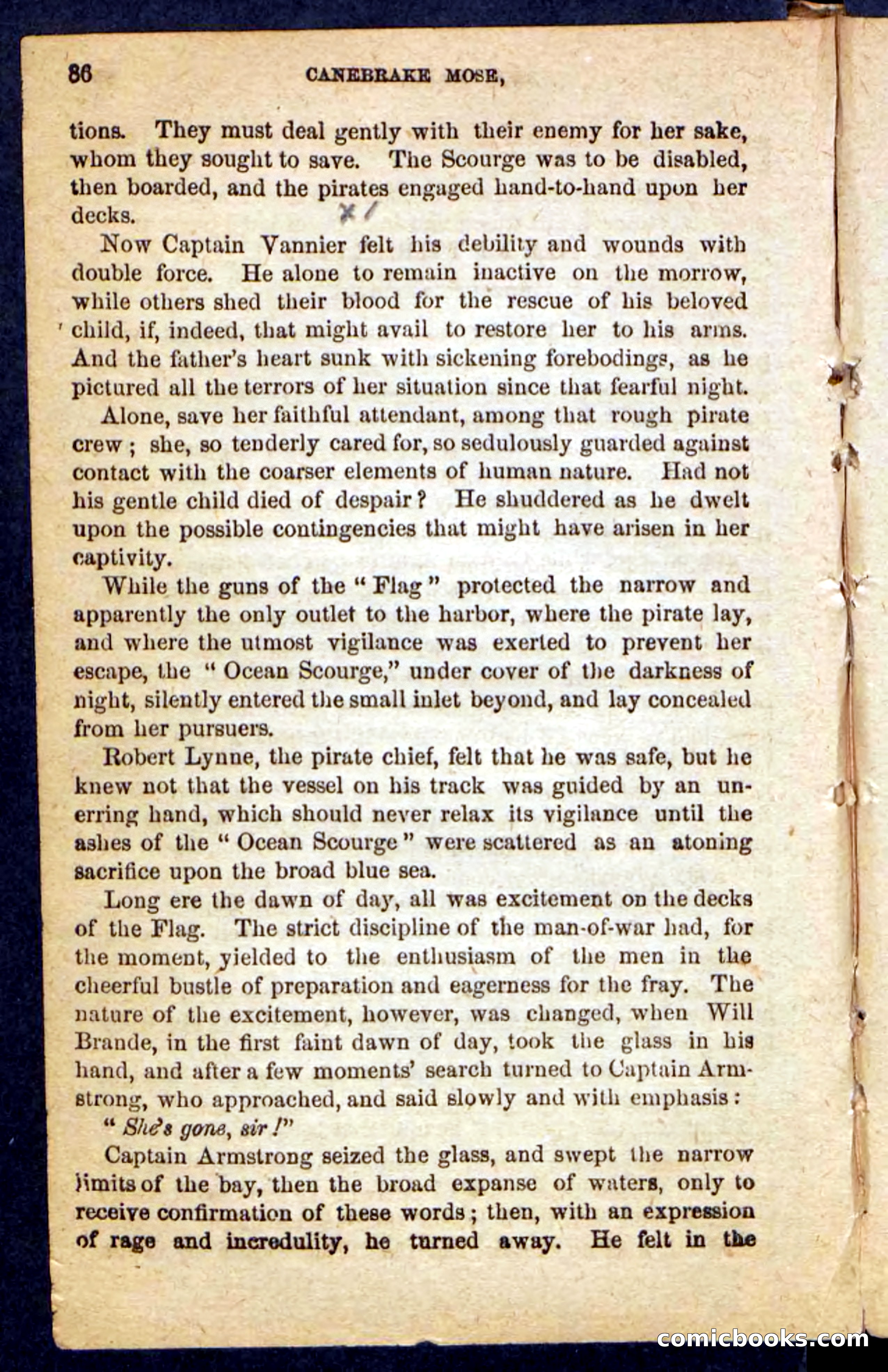 Beadle's Pocket Novels No. 162: Canebrake Mose — page 82 of 100