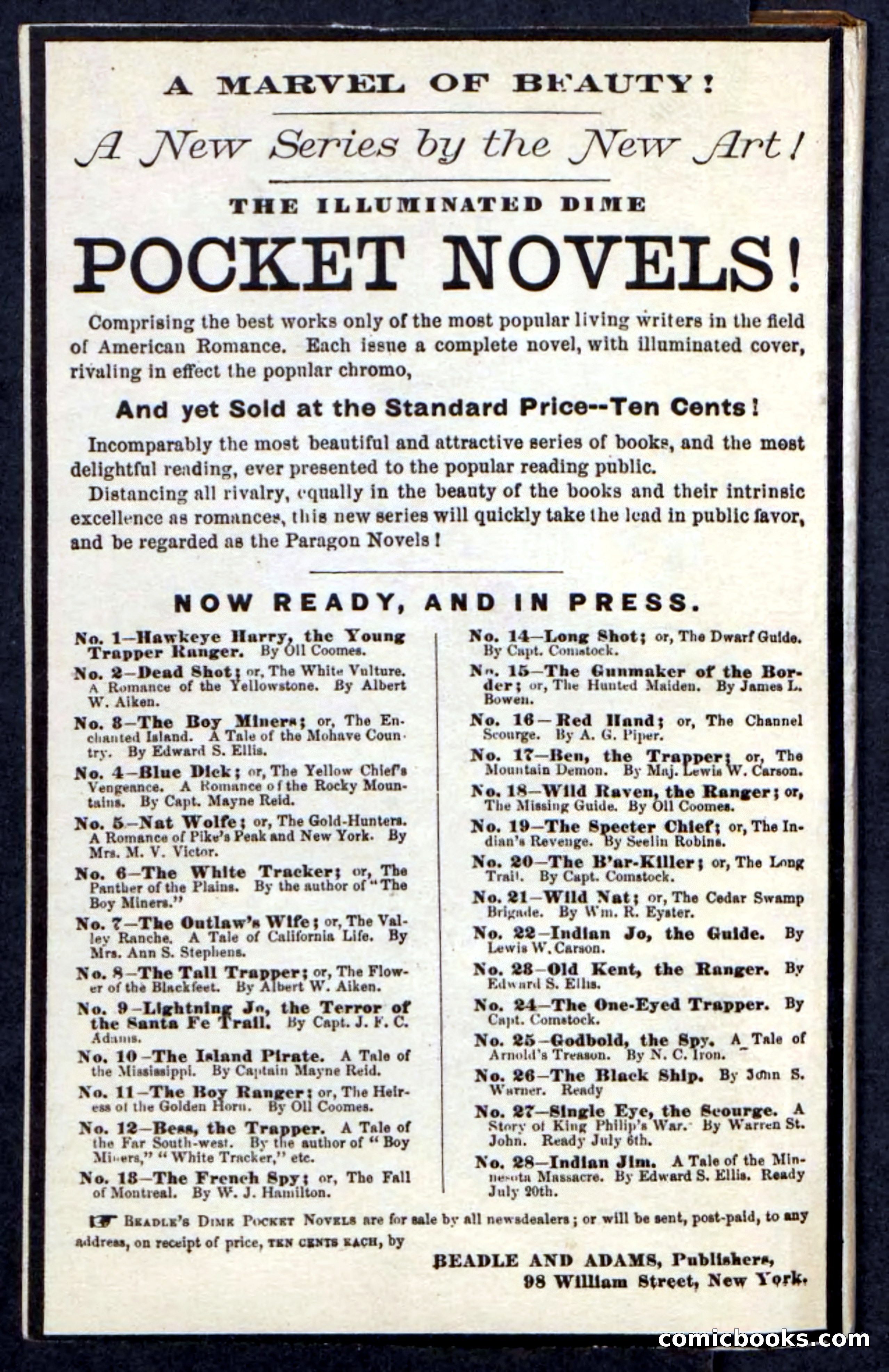 Beadle's Pocket Novels No. 162: Canebrake Mose — page 100 of 100