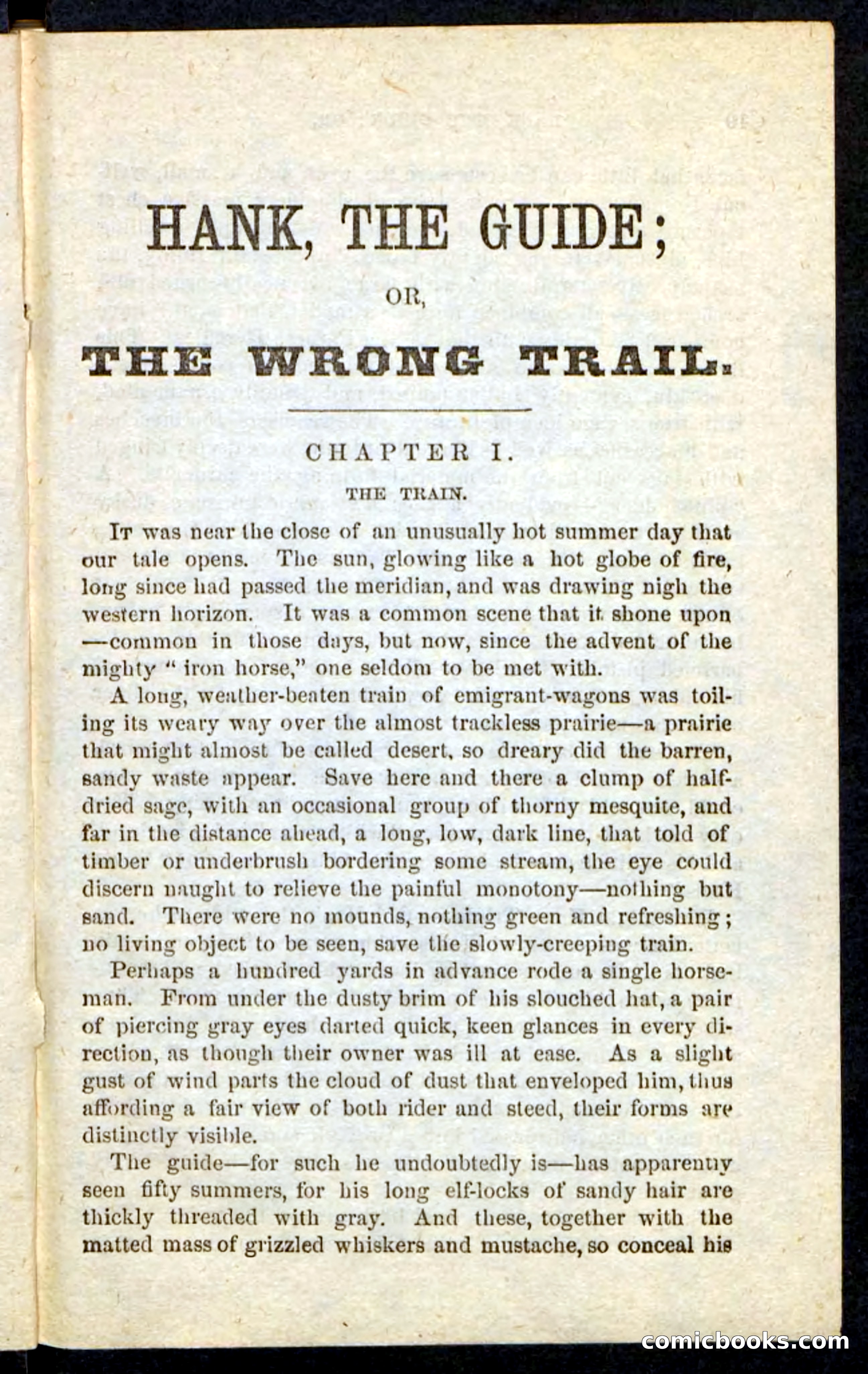 Beadle's Pocket Novels No. 163 — page 5 of 100