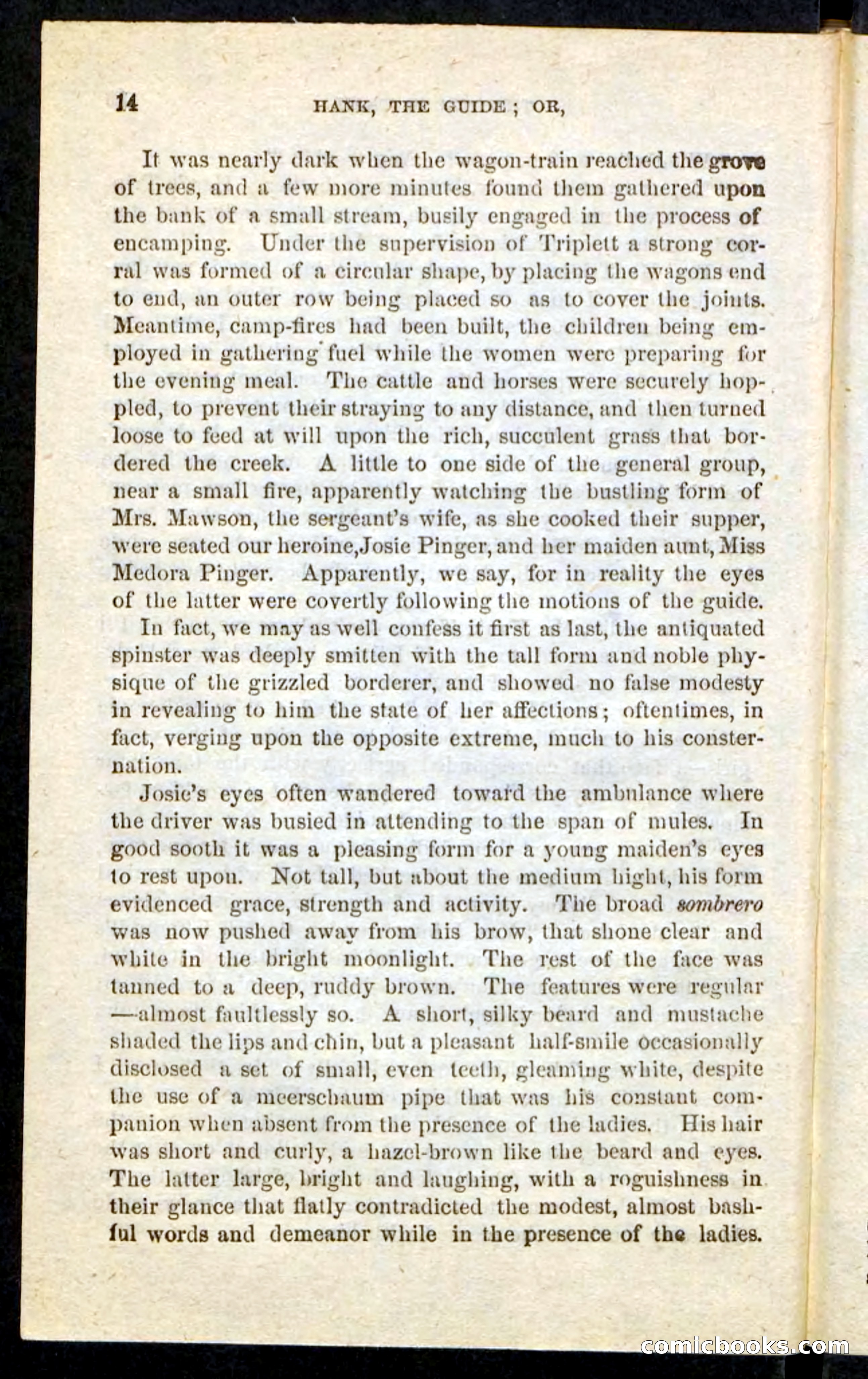 Beadle's Pocket Novels No. 163 — page 10 of 100